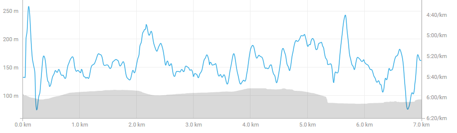 screenshot-www.strava.com-2018-06-04-20-27-39.png