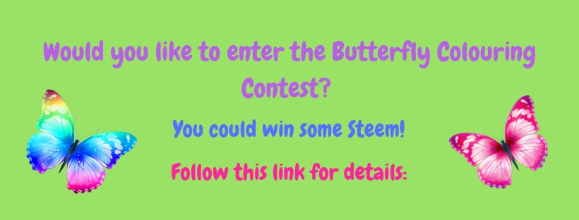 Butterfly Colouring Contest header.jpg