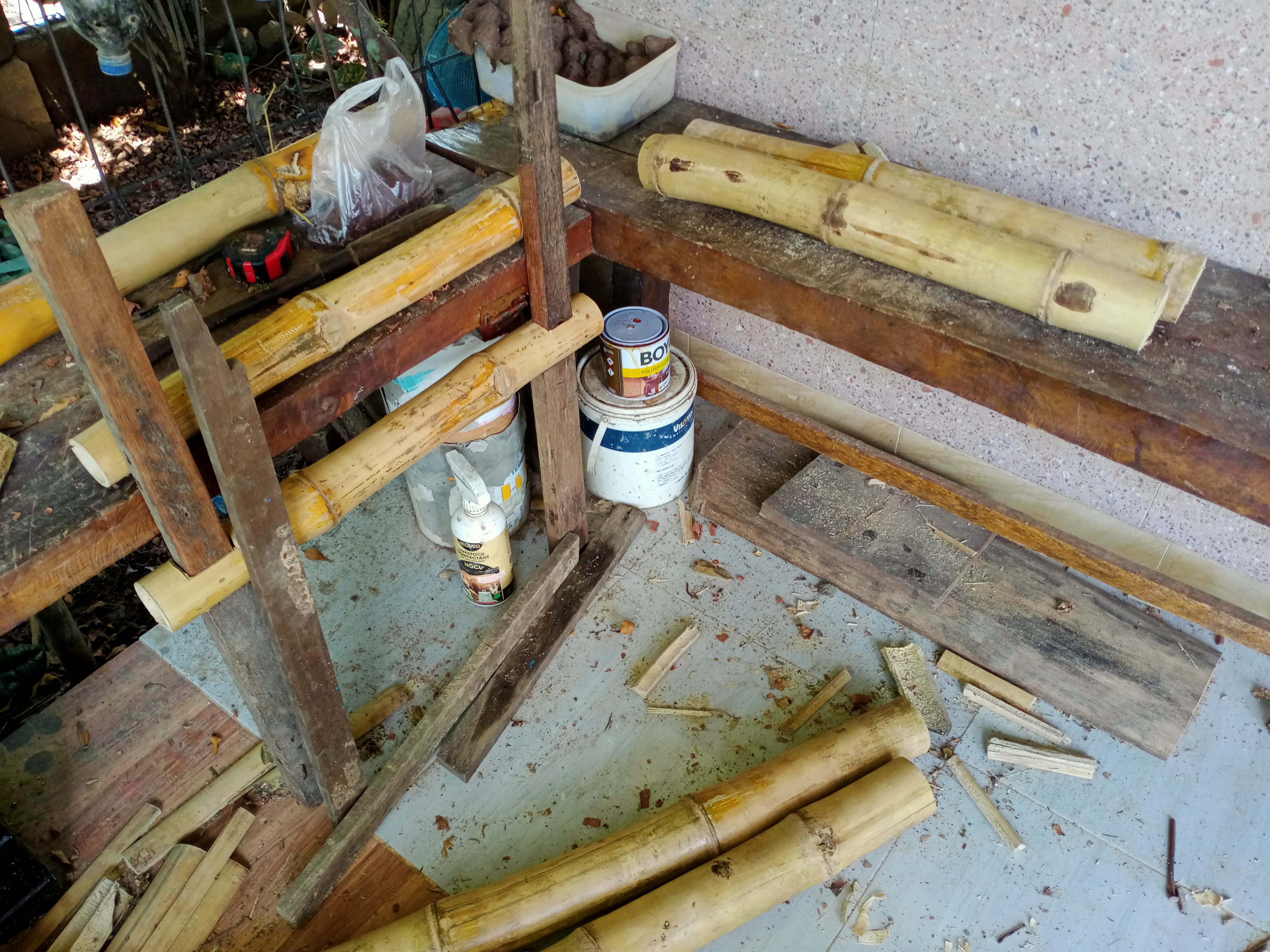 IMG20260515104730.jpg