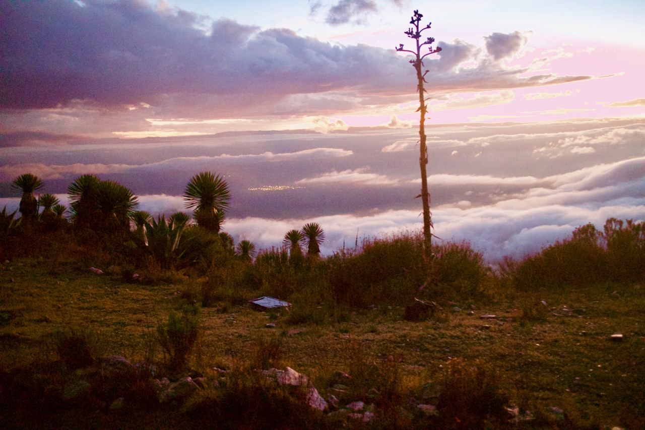 El-Quemado-vista.jpg