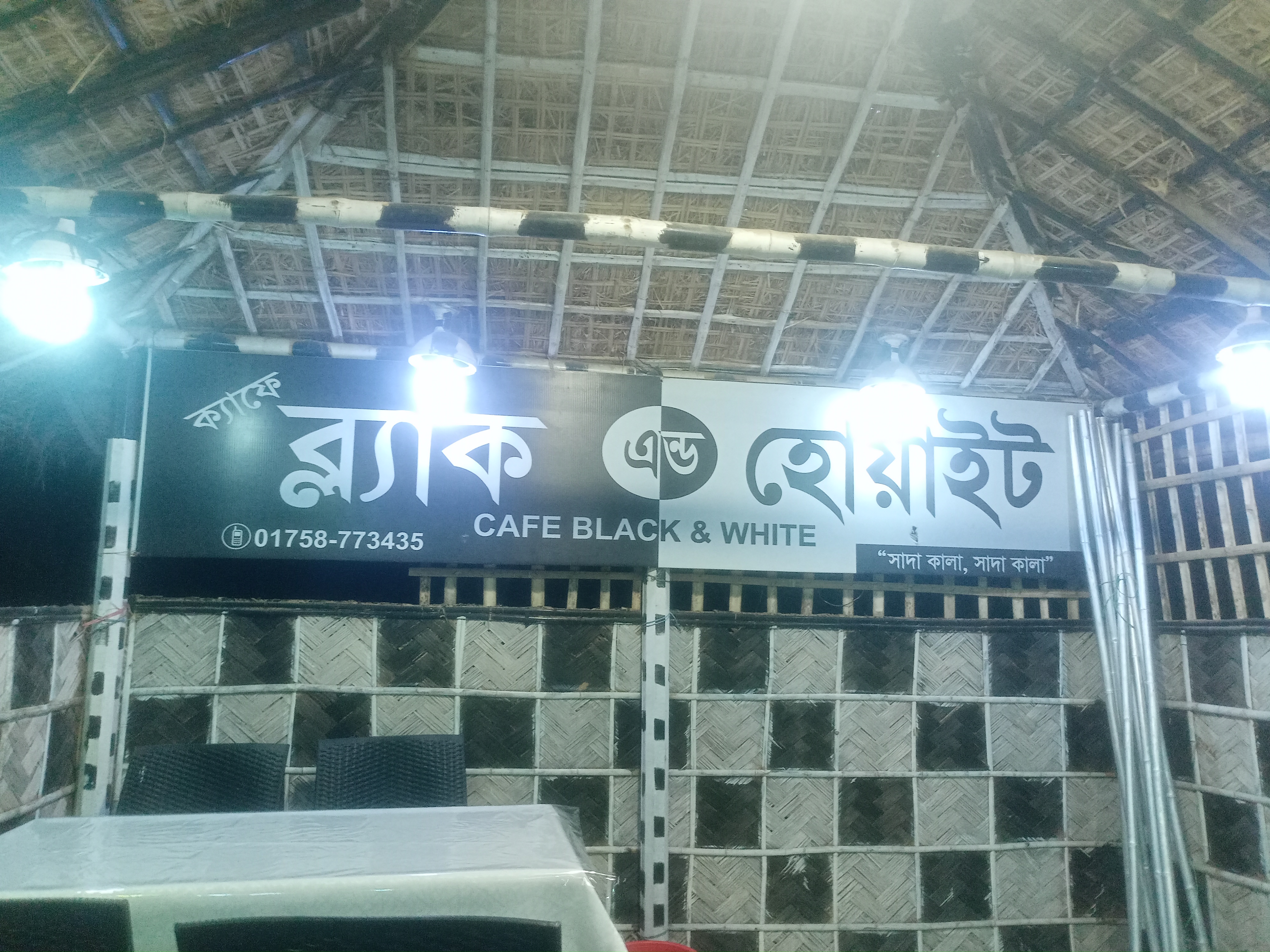 IMG20250331190338.jpg