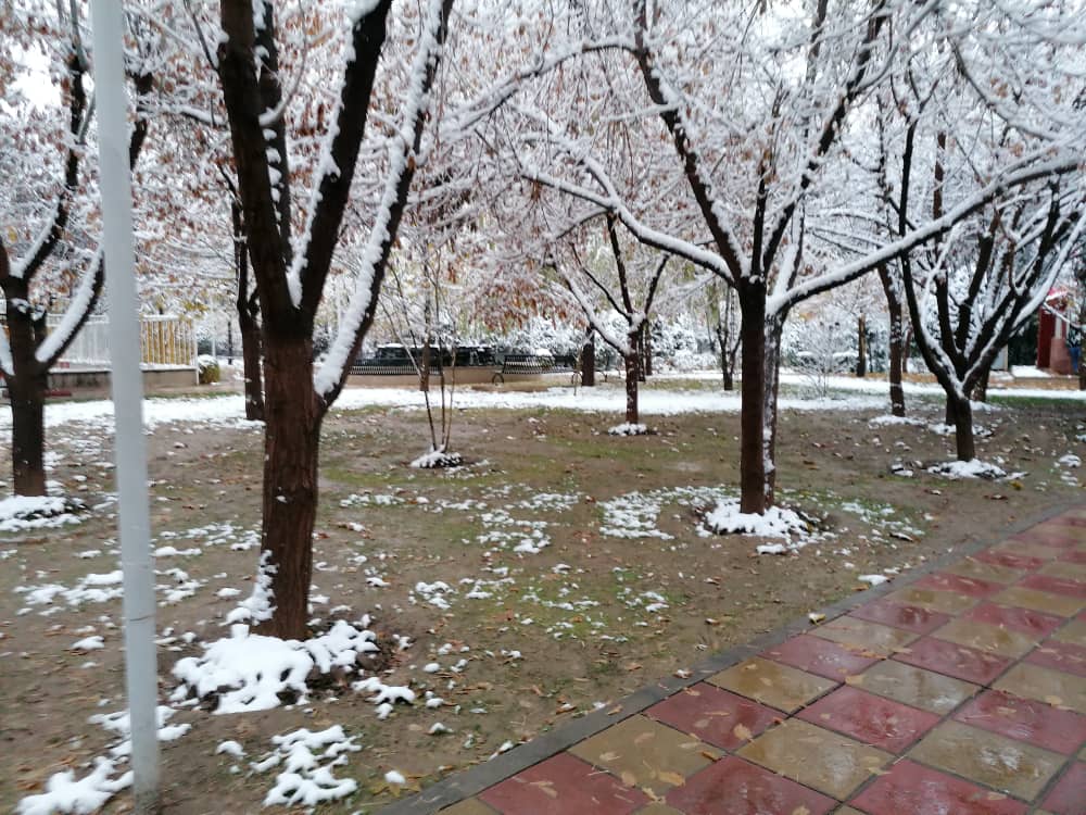 imagepark123 (7).jpeg