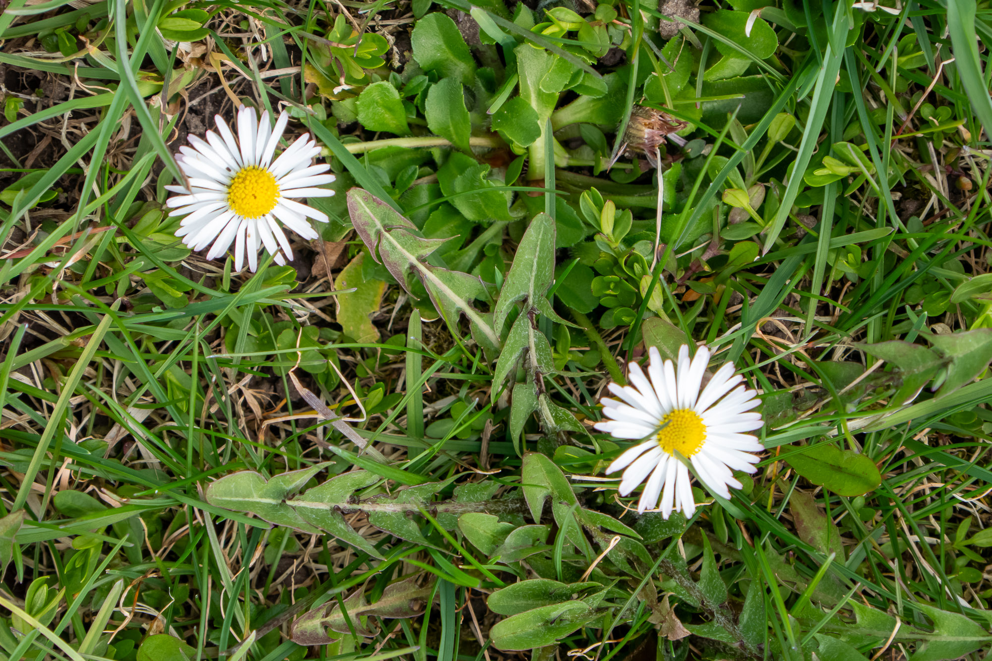 P1330093.jpg