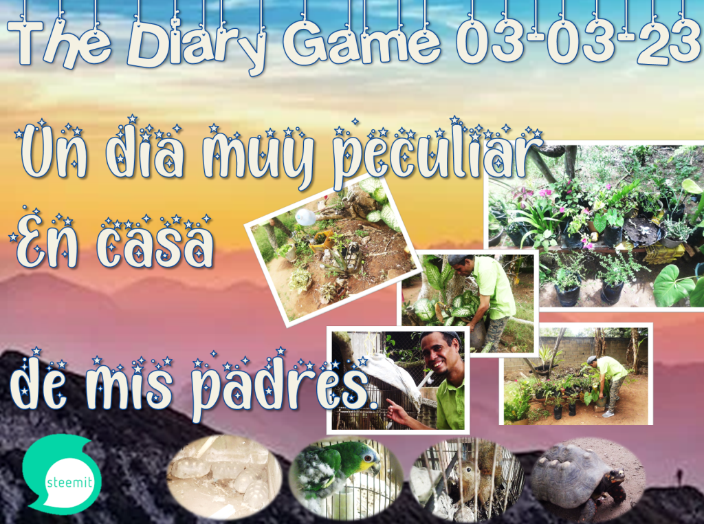 portada.png