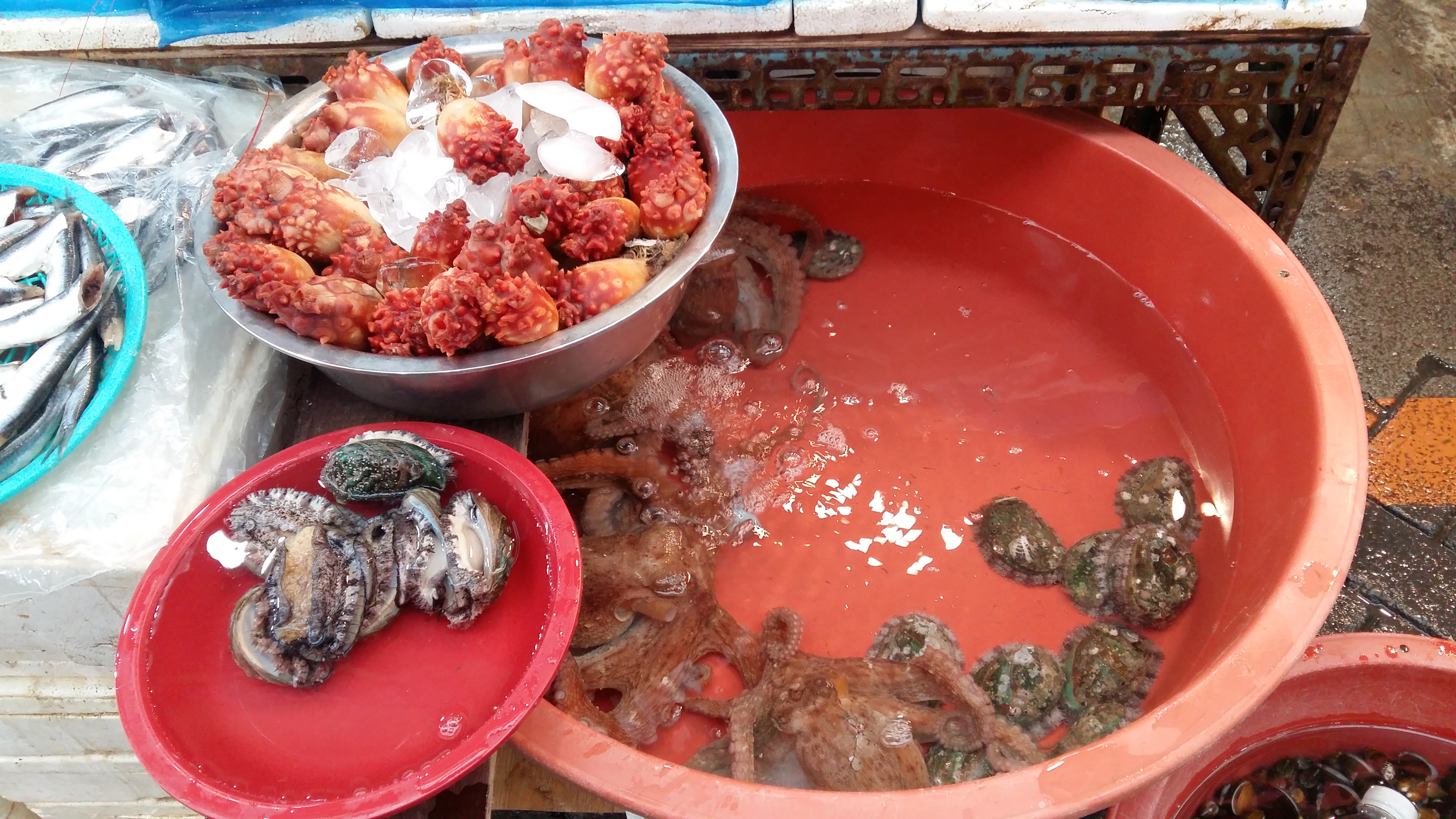 20180527_113446.jpg