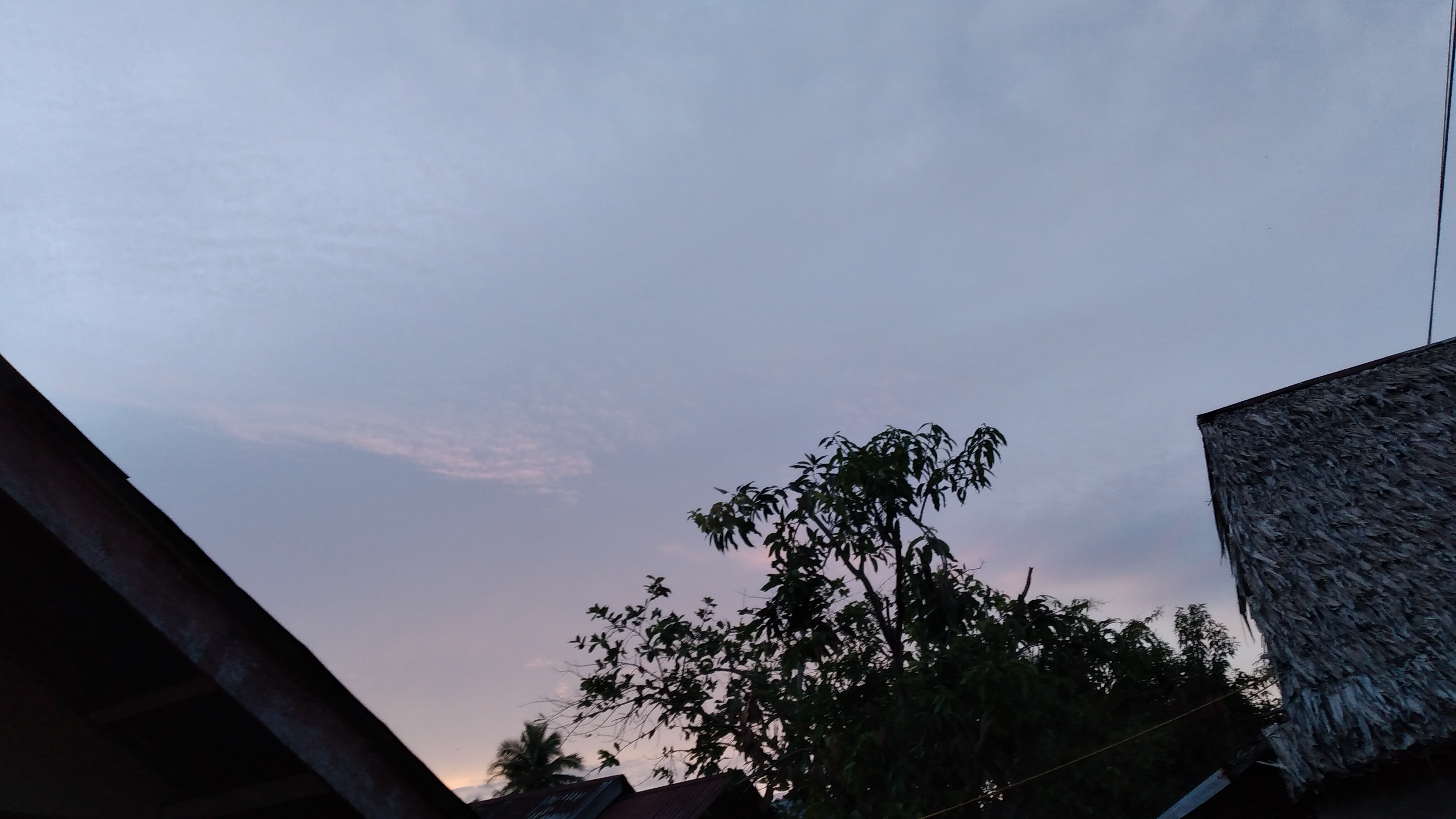 20220923_062157.jpg
