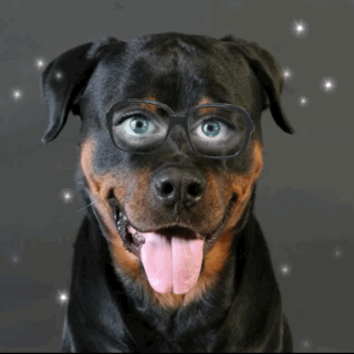 digitalangel