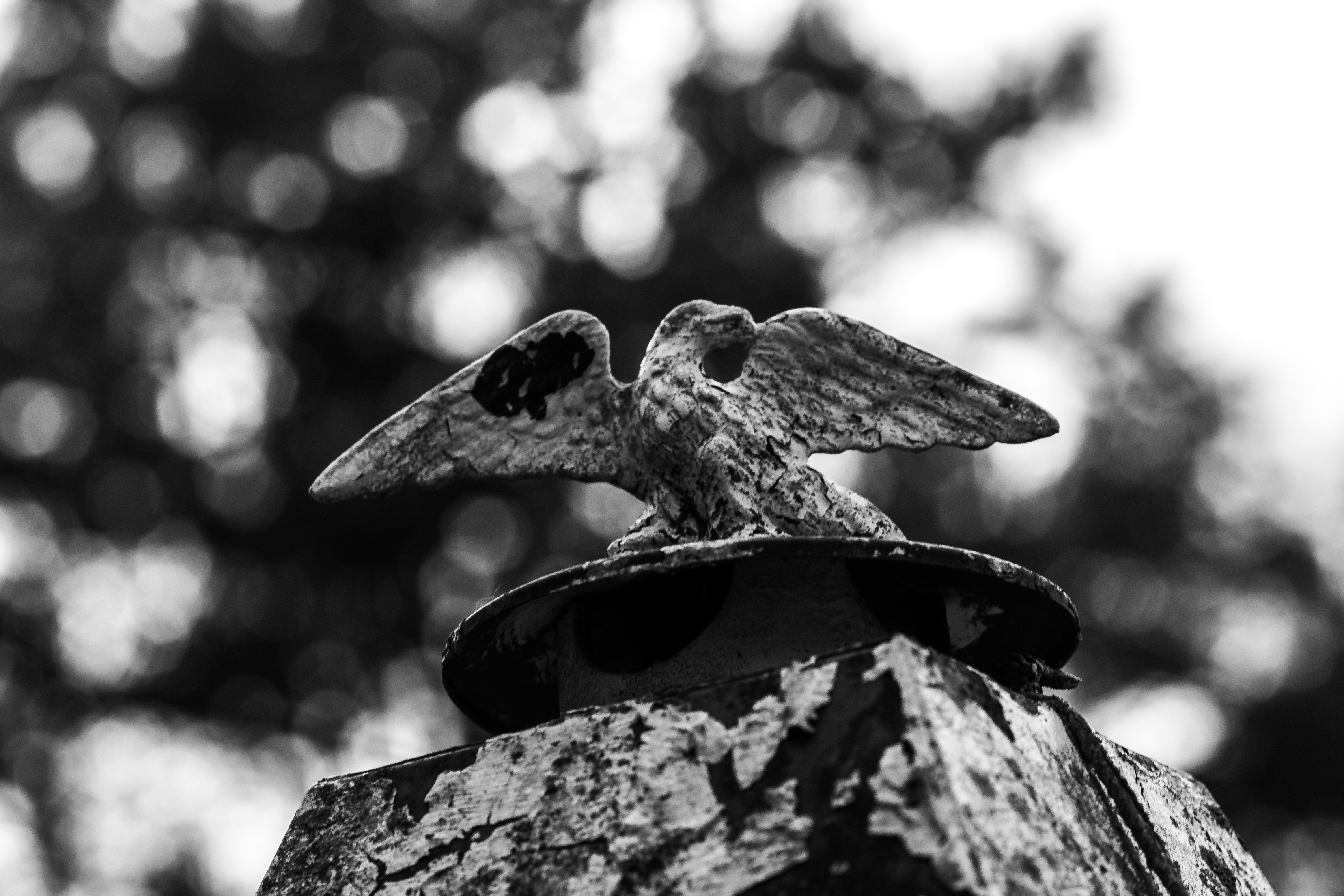 DSC_0024.jpg