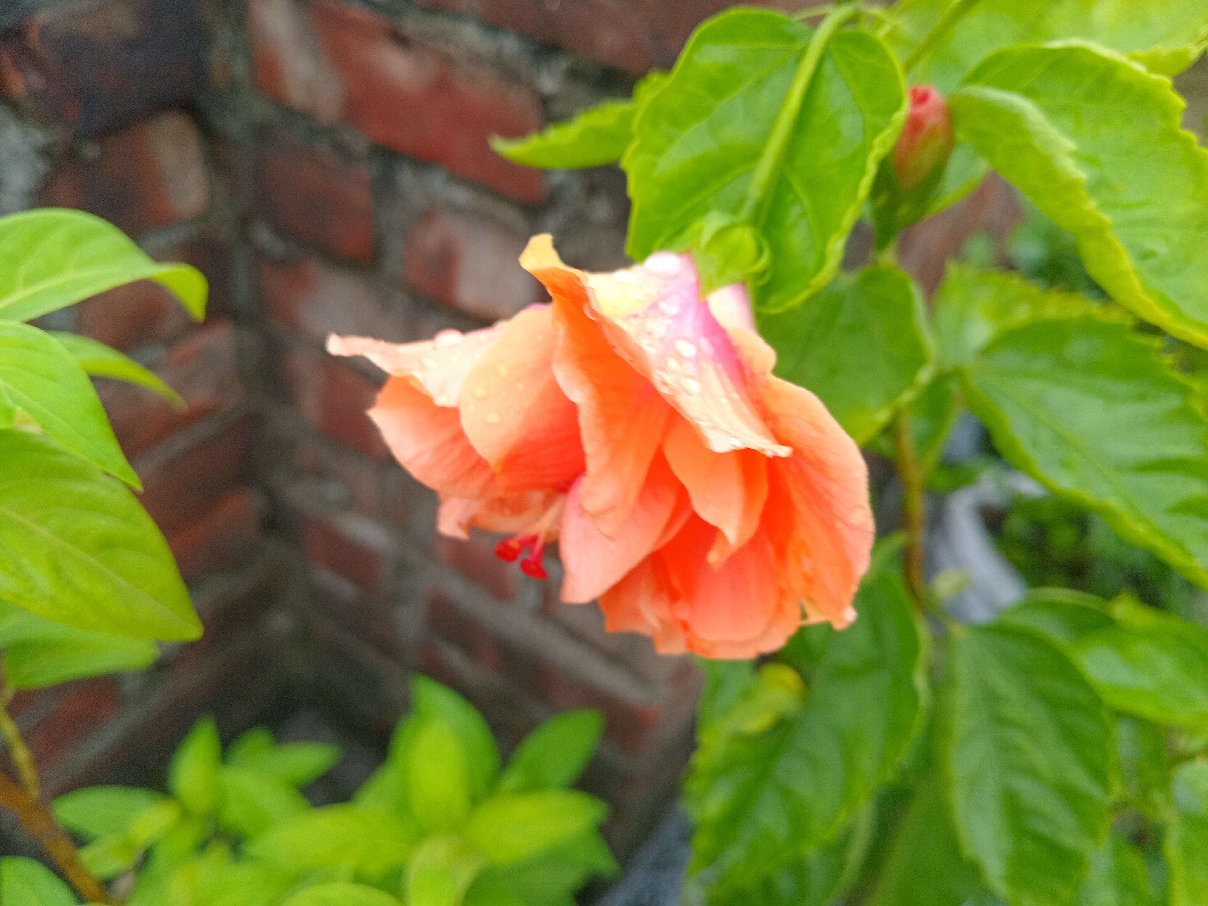 20260709_070414.jpg