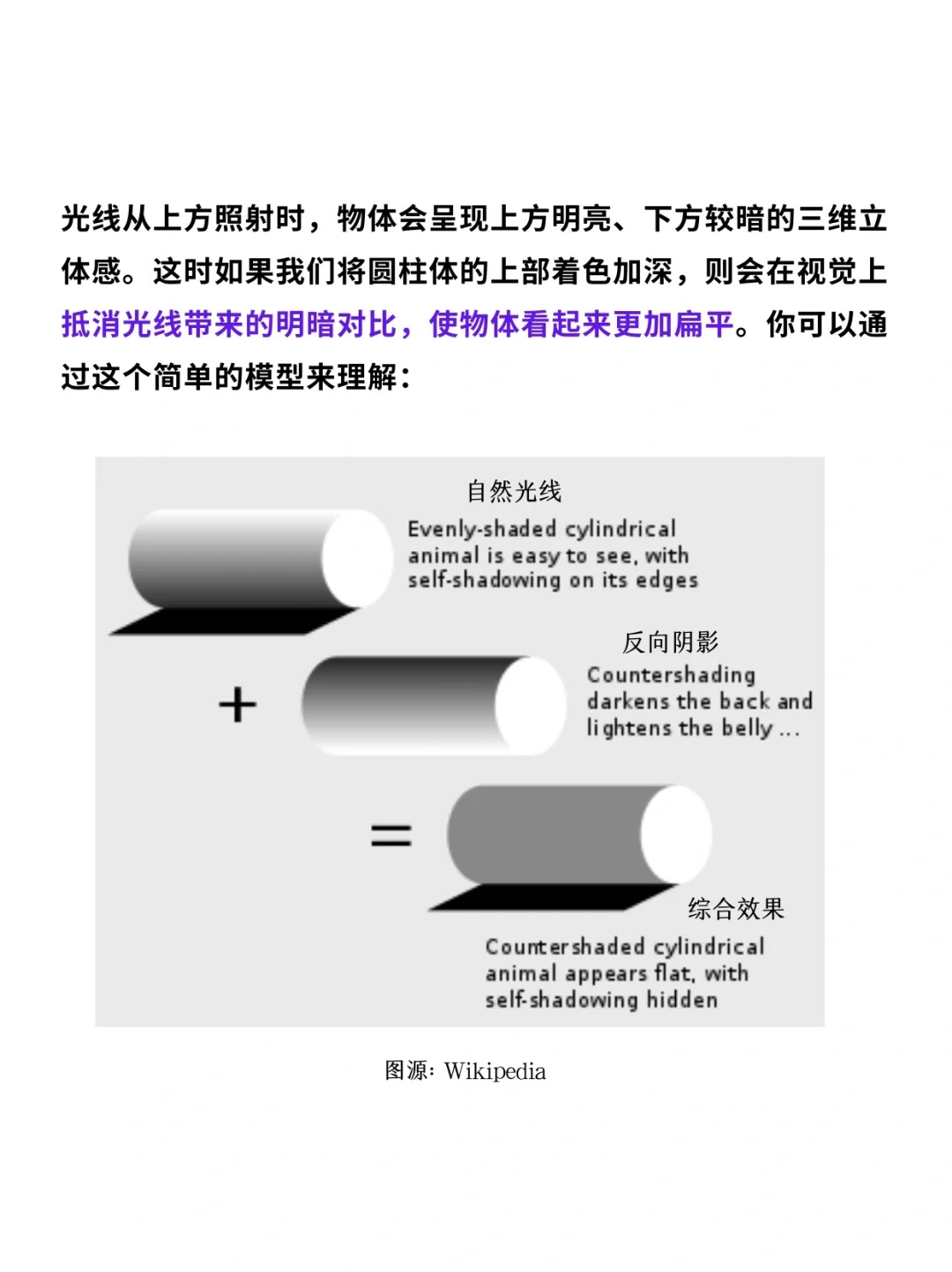 科普一分钟_ 动物长这样究竟是谁“规定”的❓_4.jpg