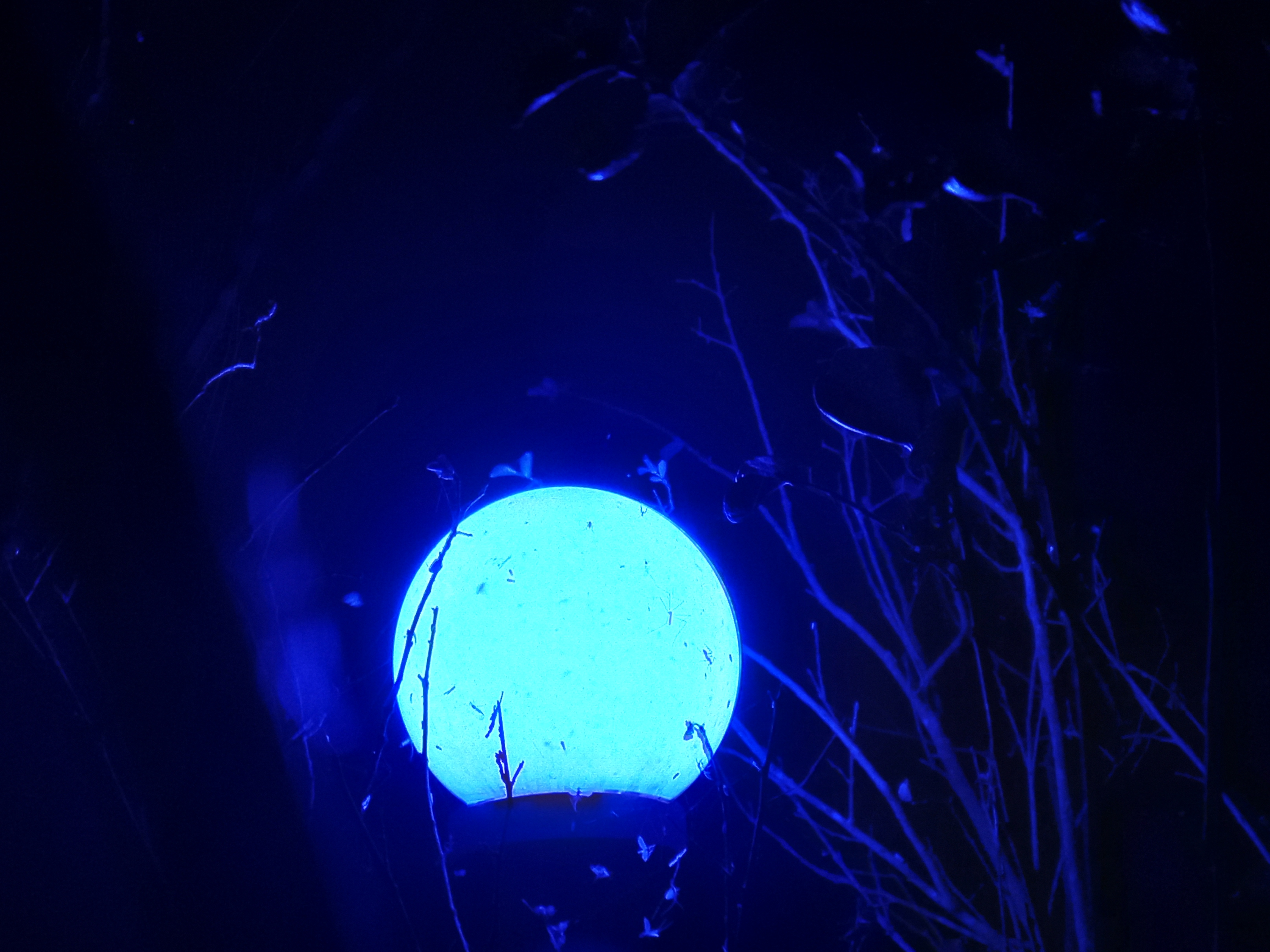 20221216_182438.jpg