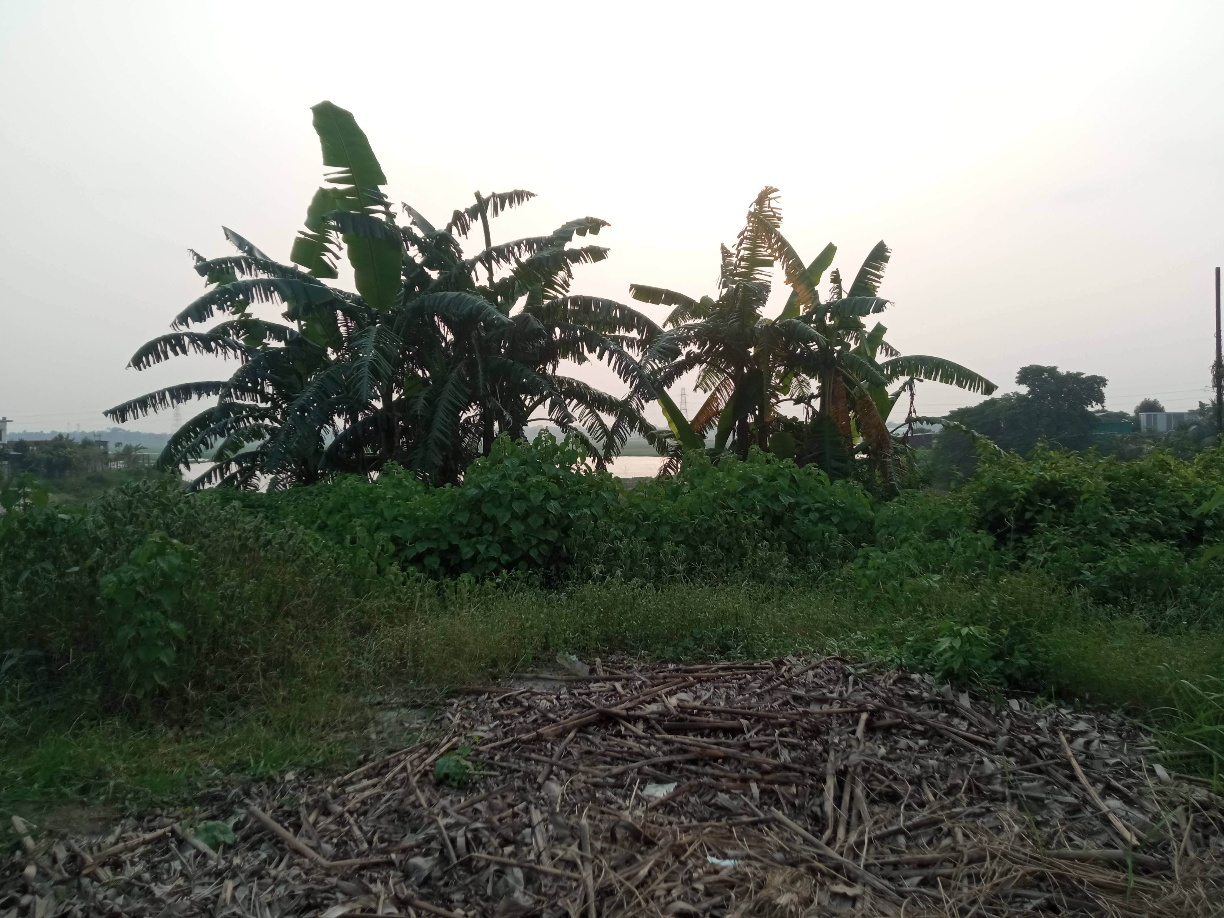 somoy.jpg