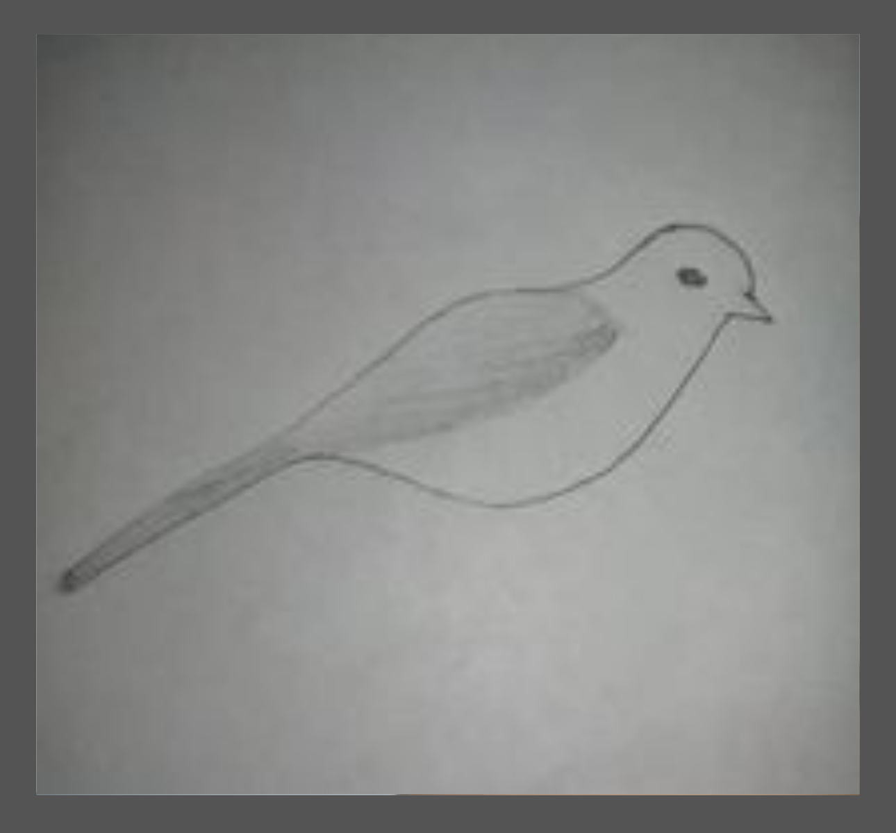 Untitled design (12).png