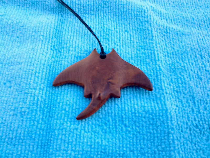 wood.pendant.Kanarischer Lorbeer.Laurus novocanariensis.Manta.800x600.png