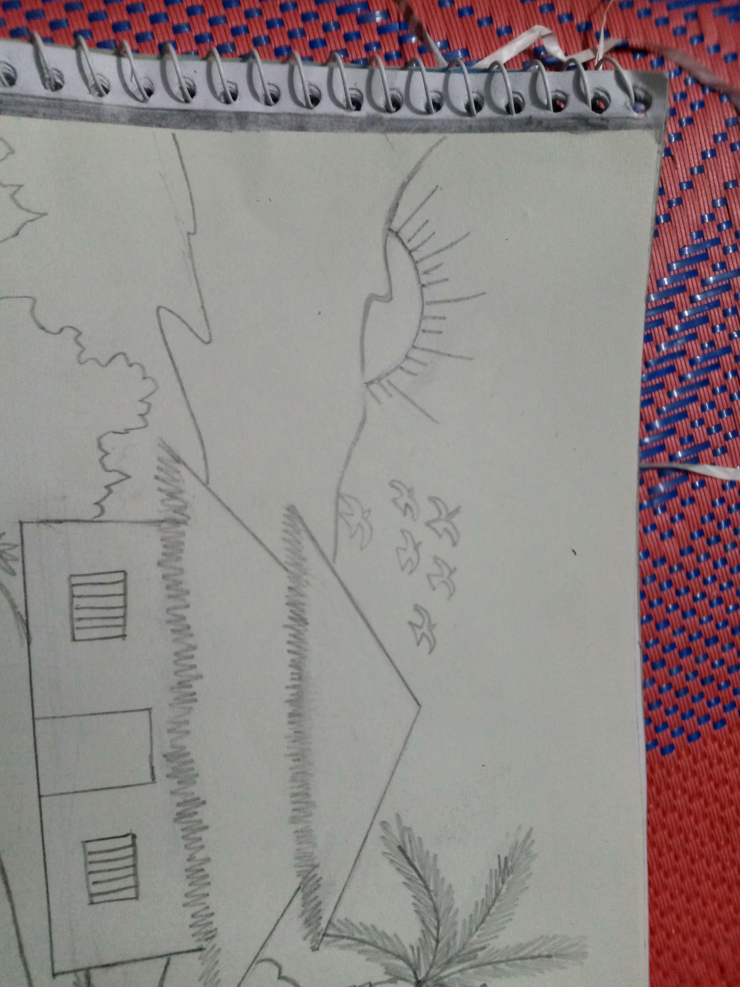 IMG20250201130655.jpg
