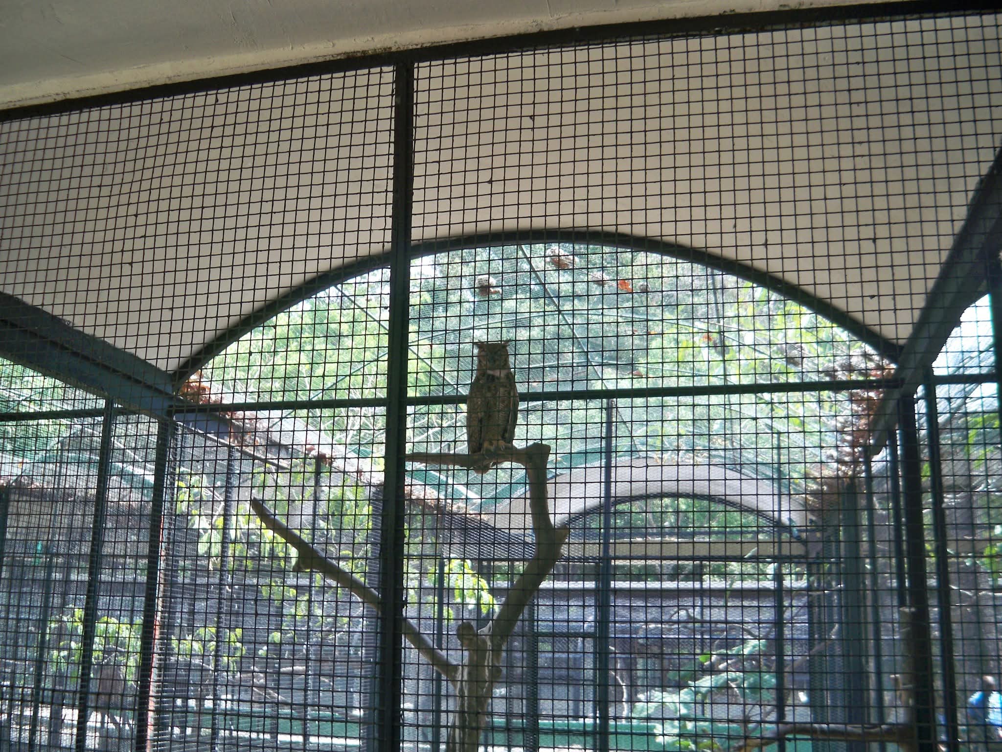 1001022616.jpg