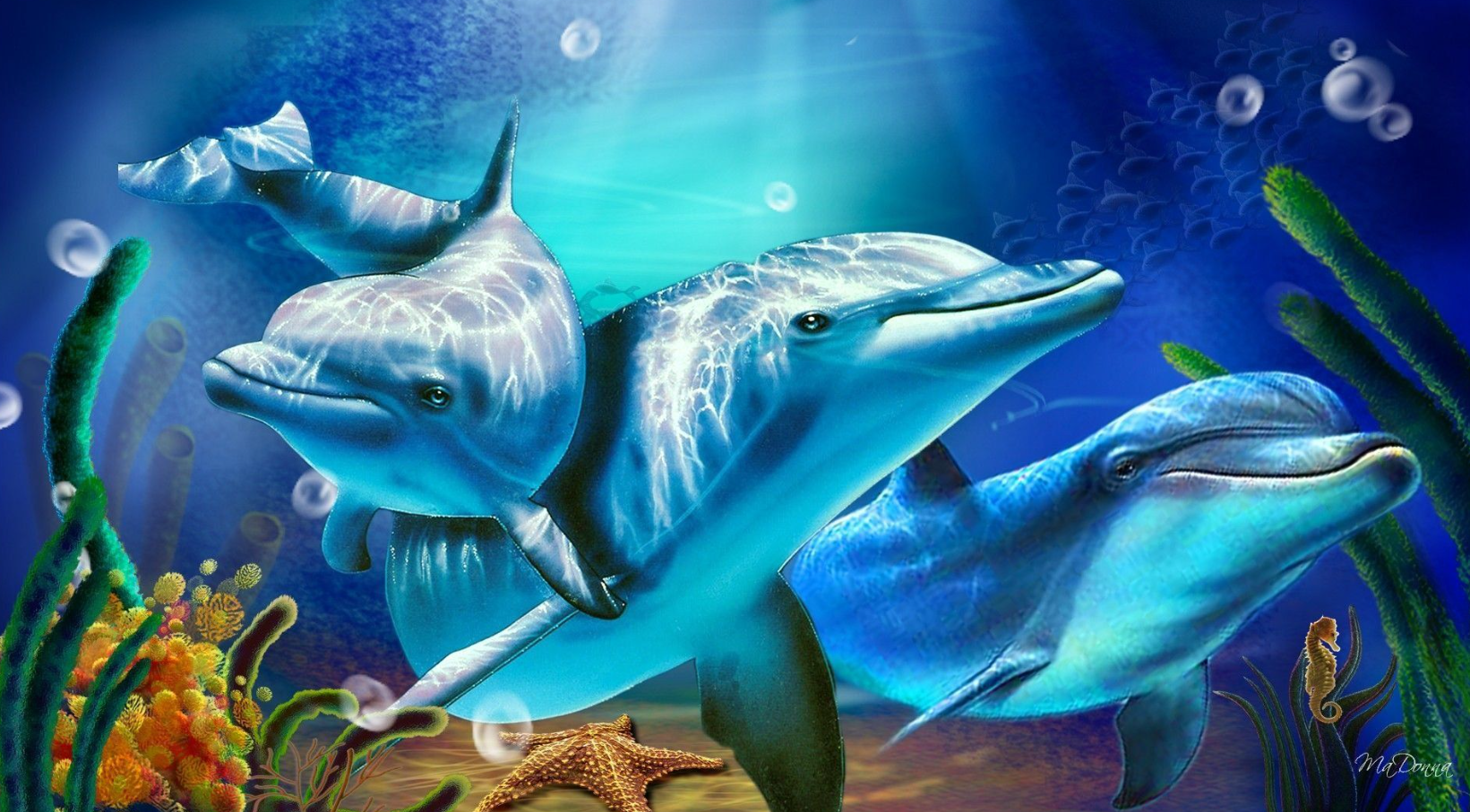 dolphin.png