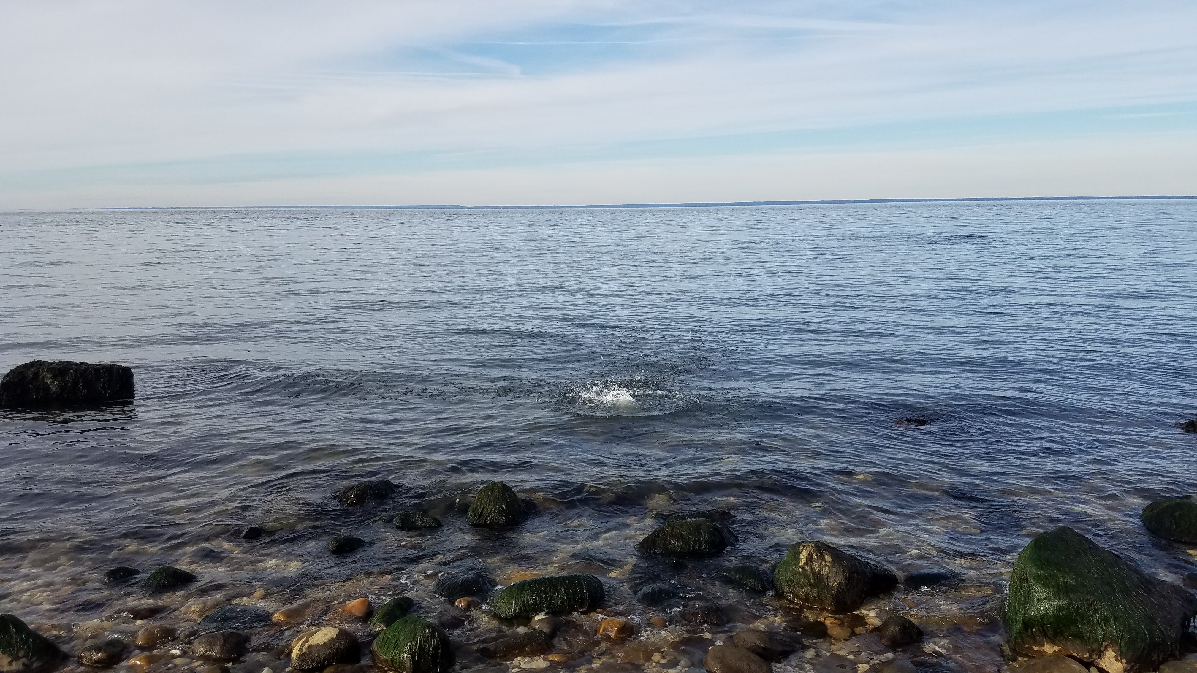 20190117_143744_004.jpg