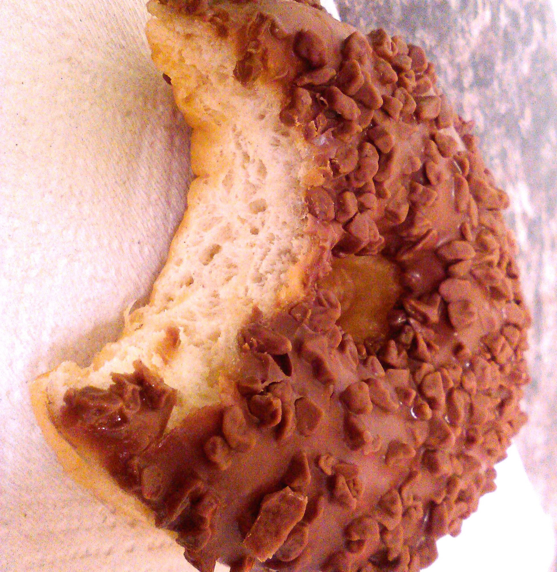 Food Photography, Chocolate Covered Hungry Donut Close-up From Work May 29 2017.jpg