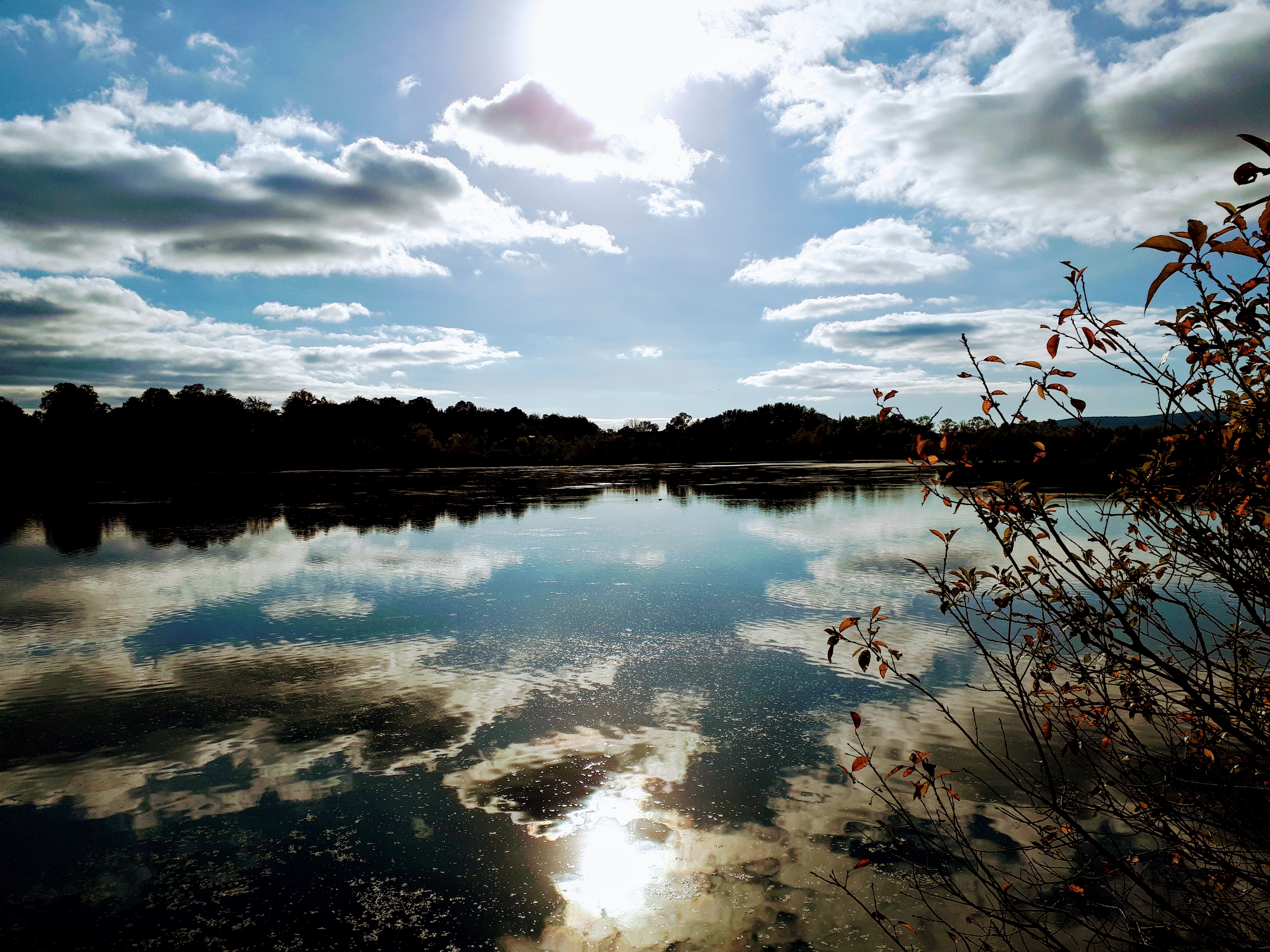 20181008_163328.jpg