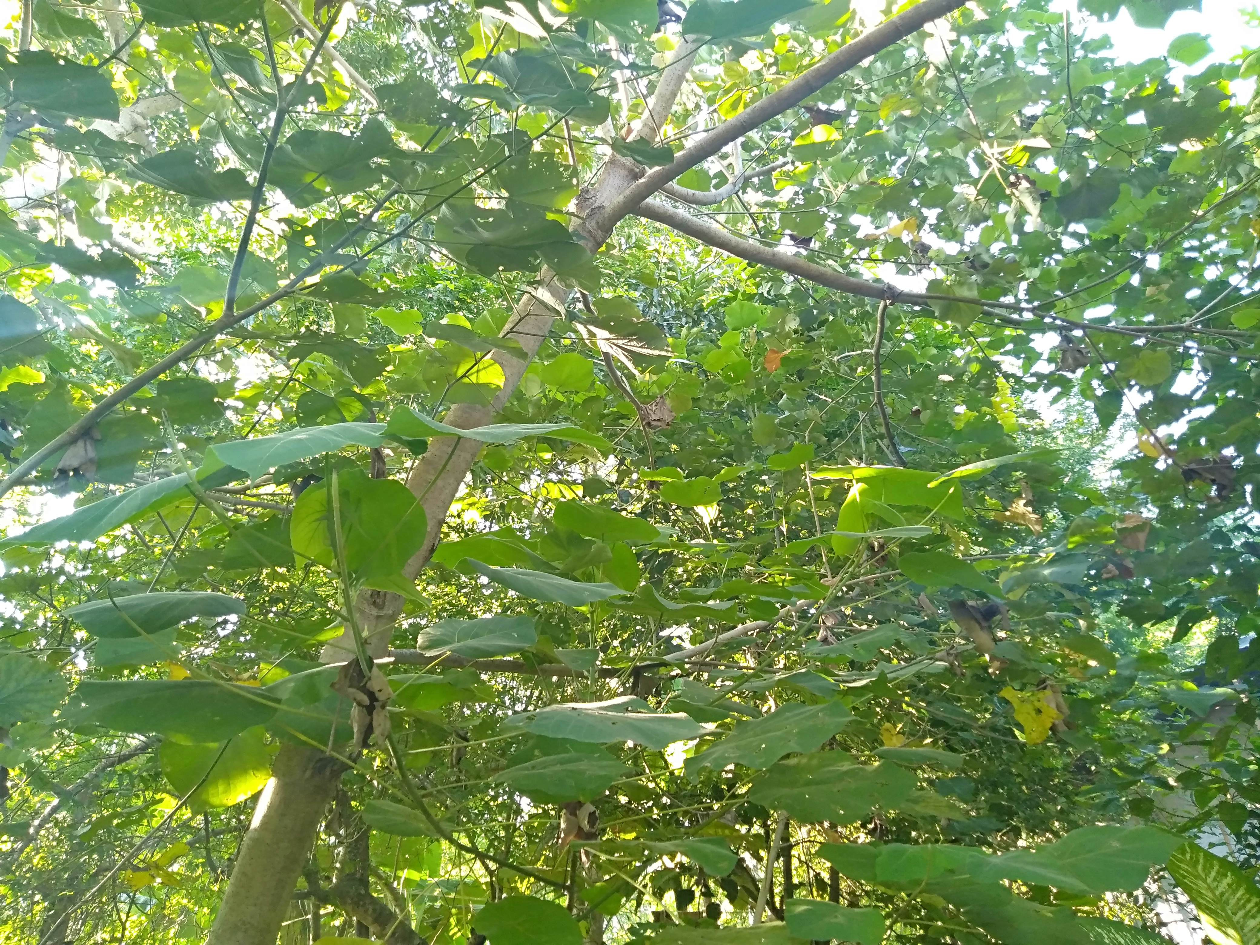 IMG20220913072236.jpg