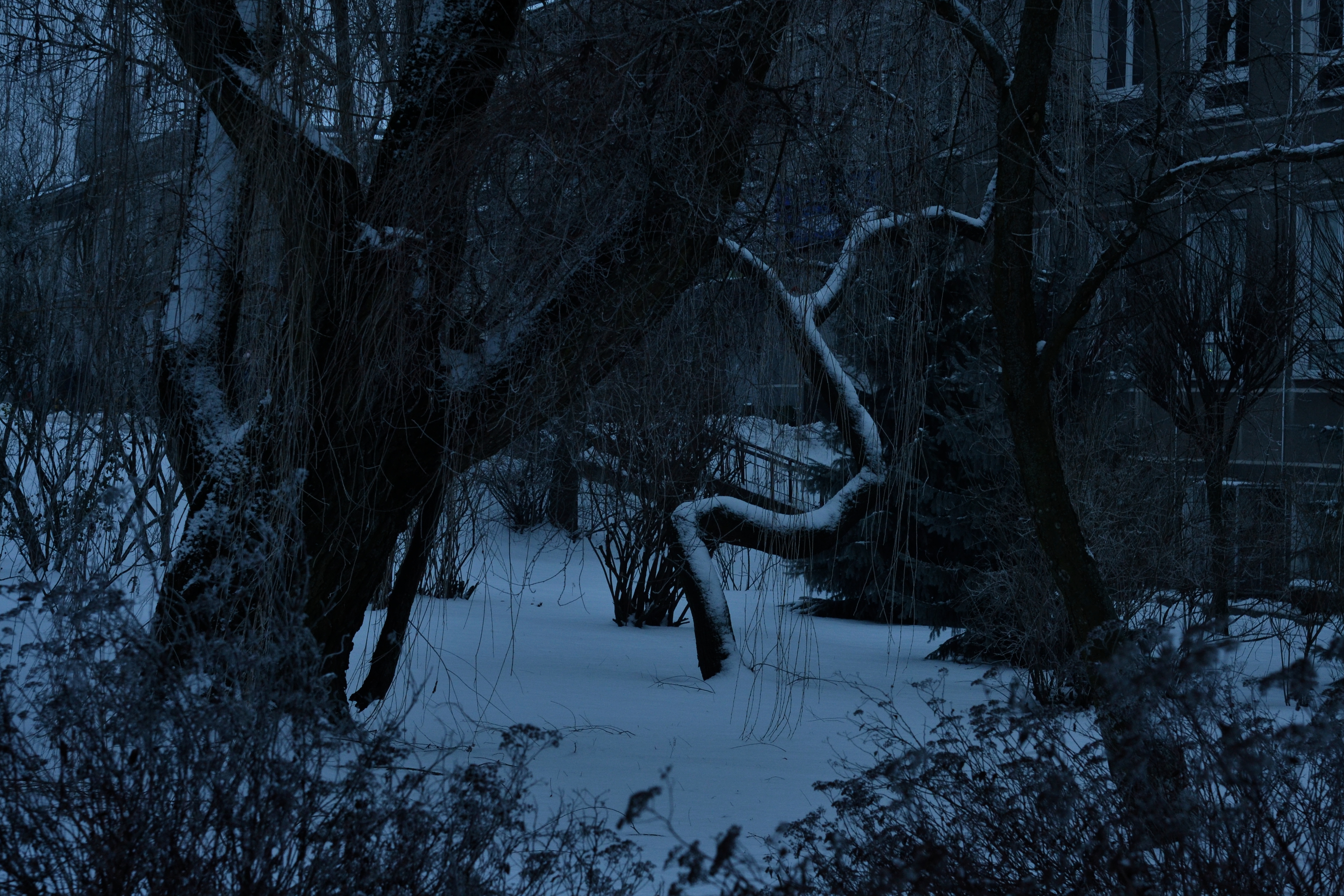 DSC_5521.jpg