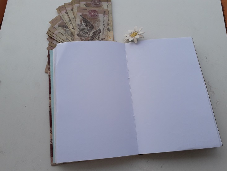20190410_141645.jpg