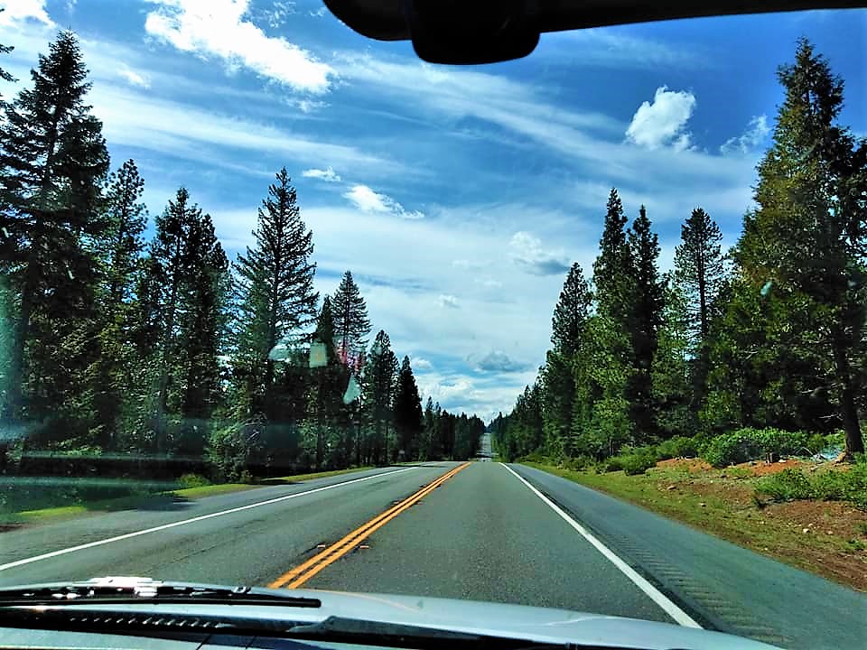 2. sun drive (2).jpg