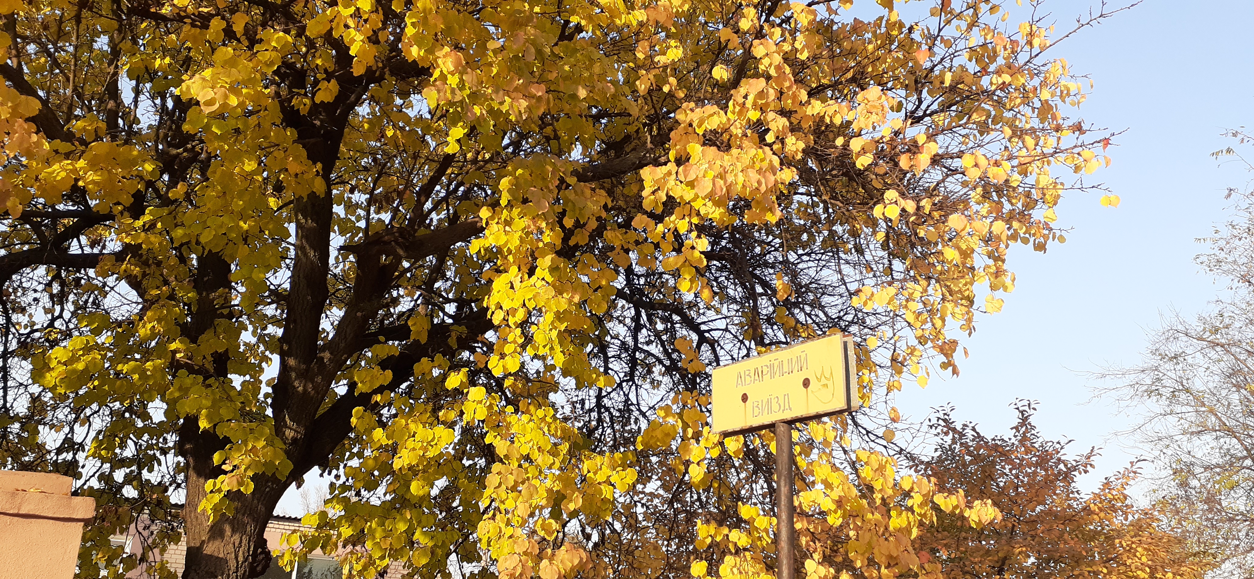 20201112_144116.jpg