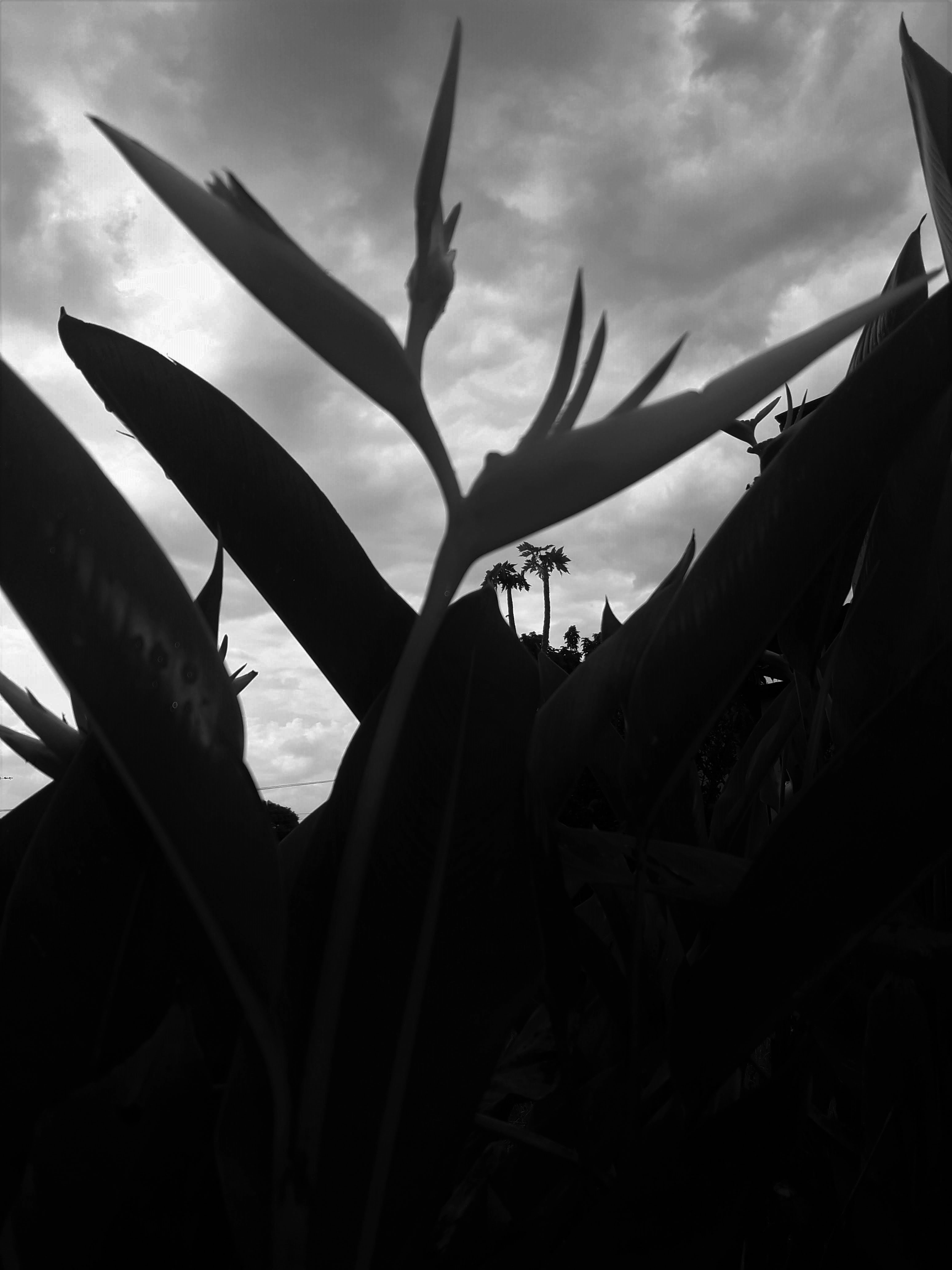 20210427_152917.jpg