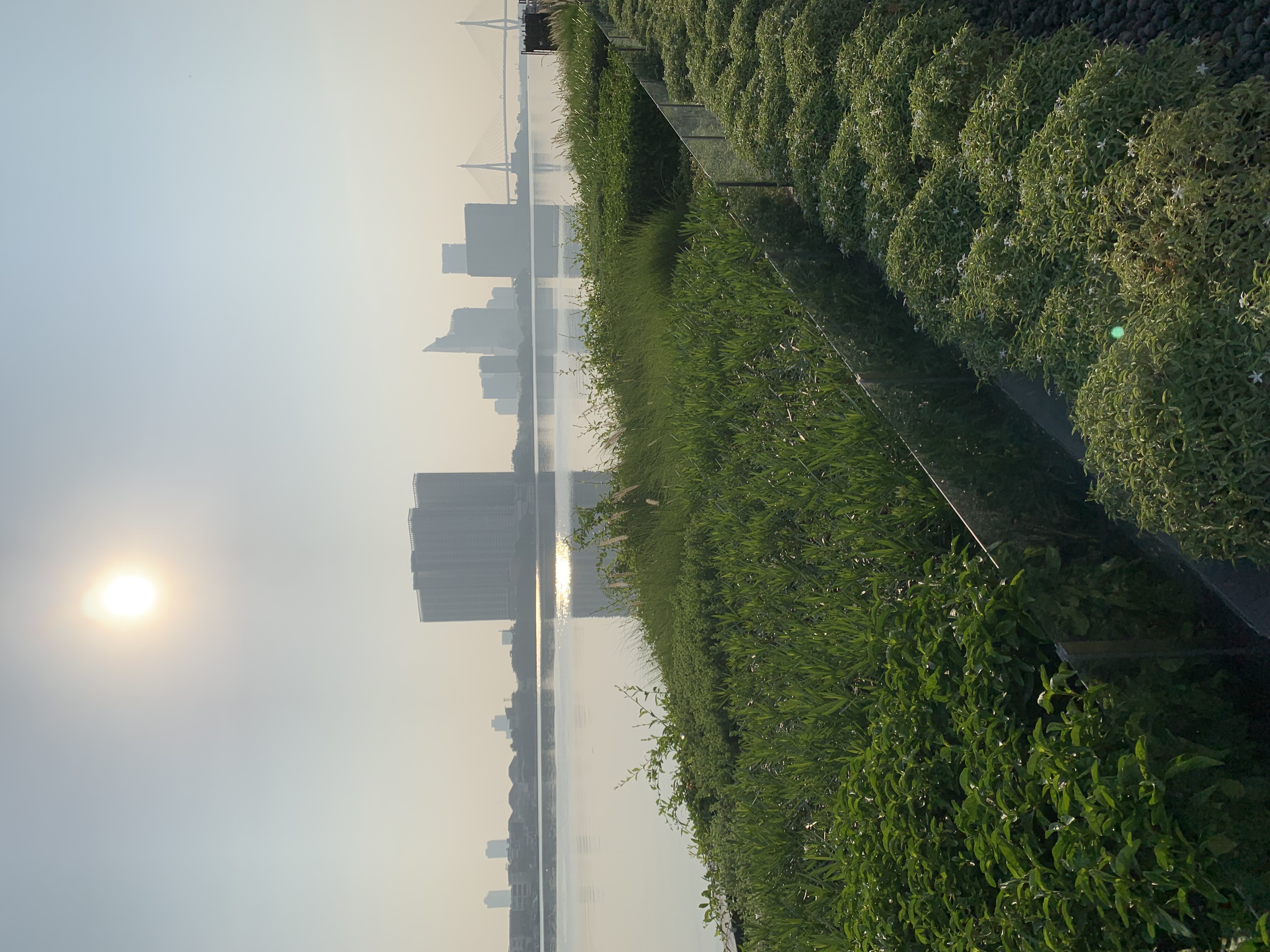 Chao Phraya River6.jpg