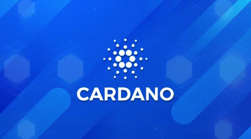 @mintdice/altcoin-spotlight-cardano-2023-update