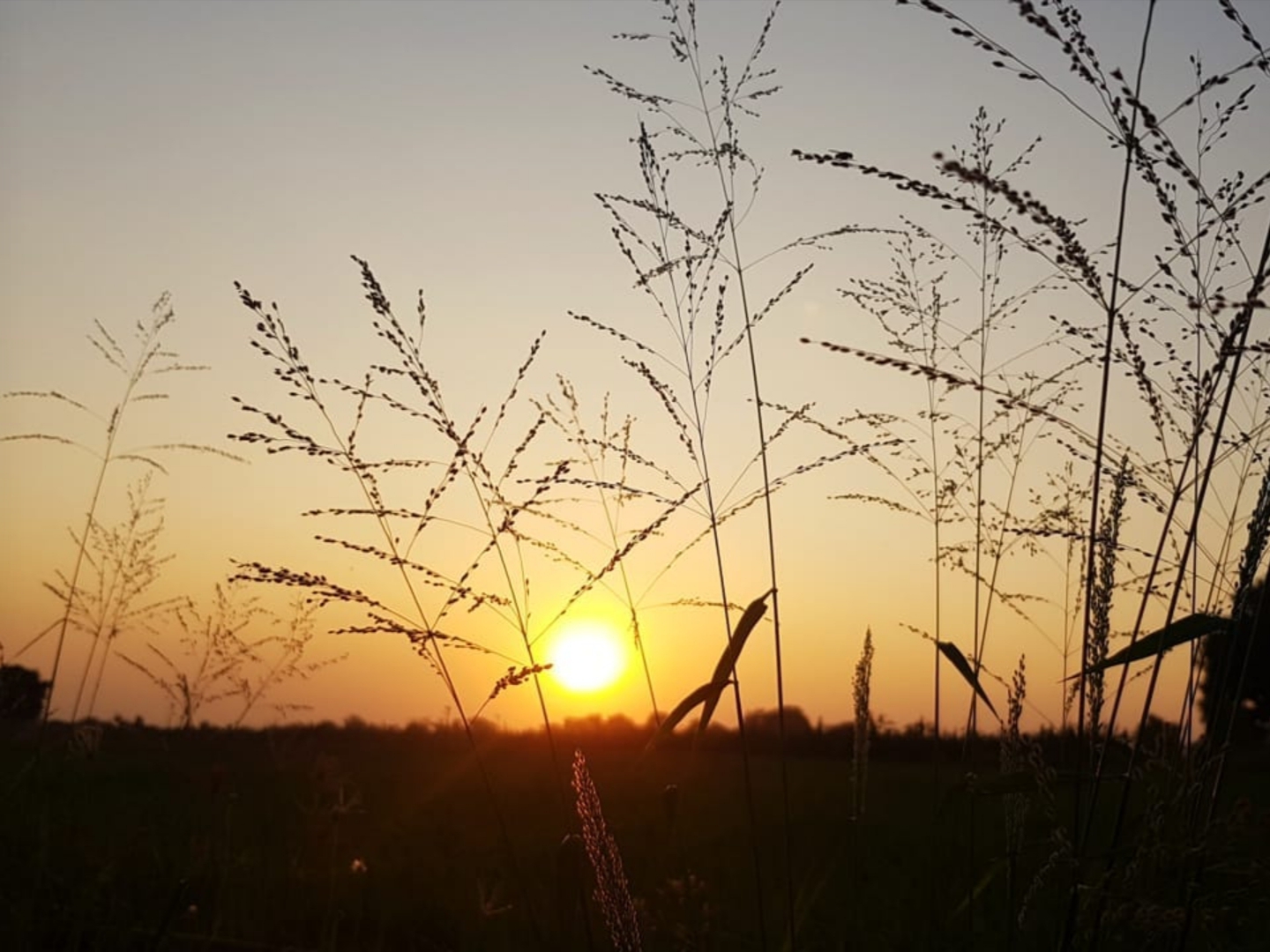 20200221_152513.jpg