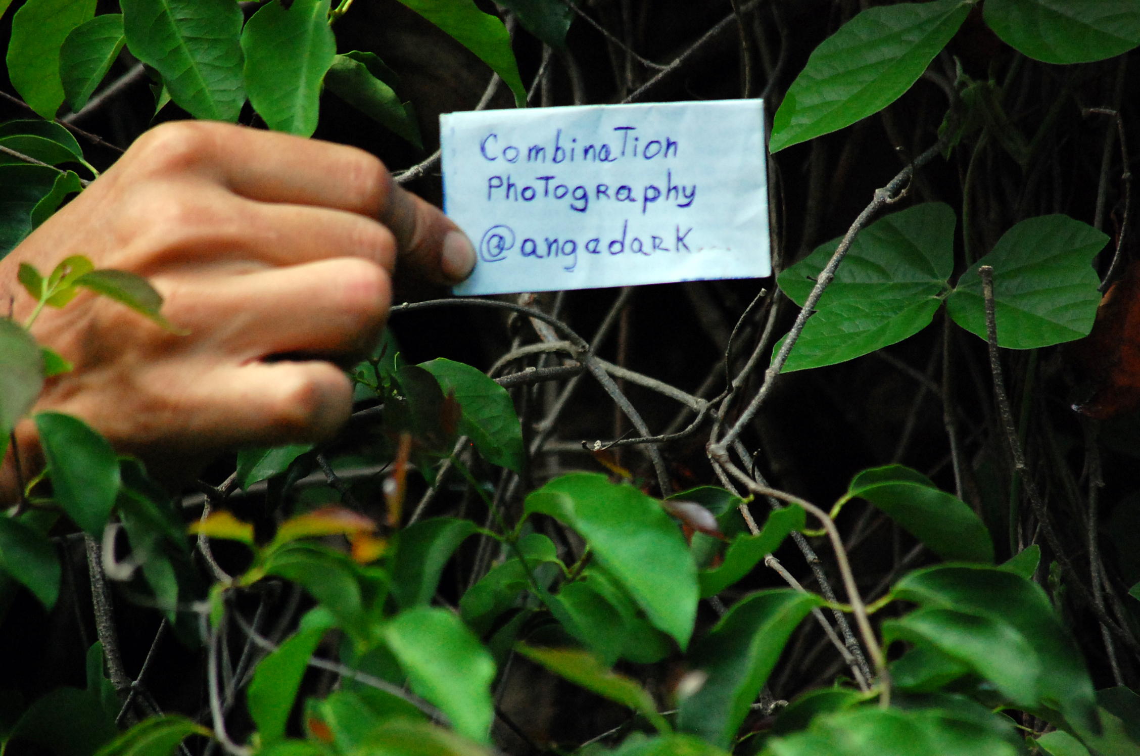 A%20DSC_0609.JPG