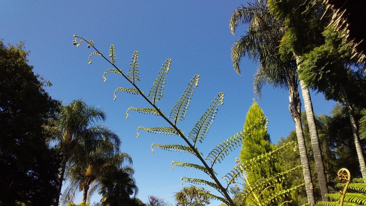 thumbnail_20200315_091549.jpg