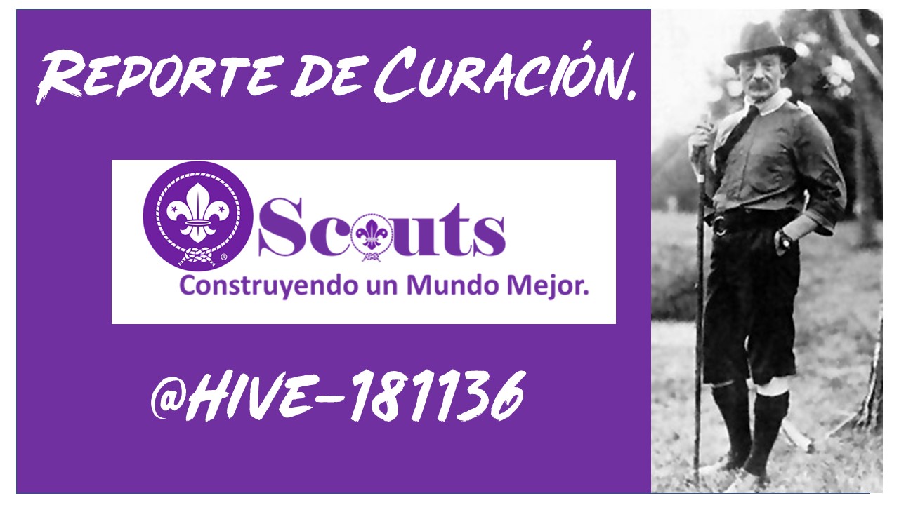 Reporte de curación. Scouts.jpg