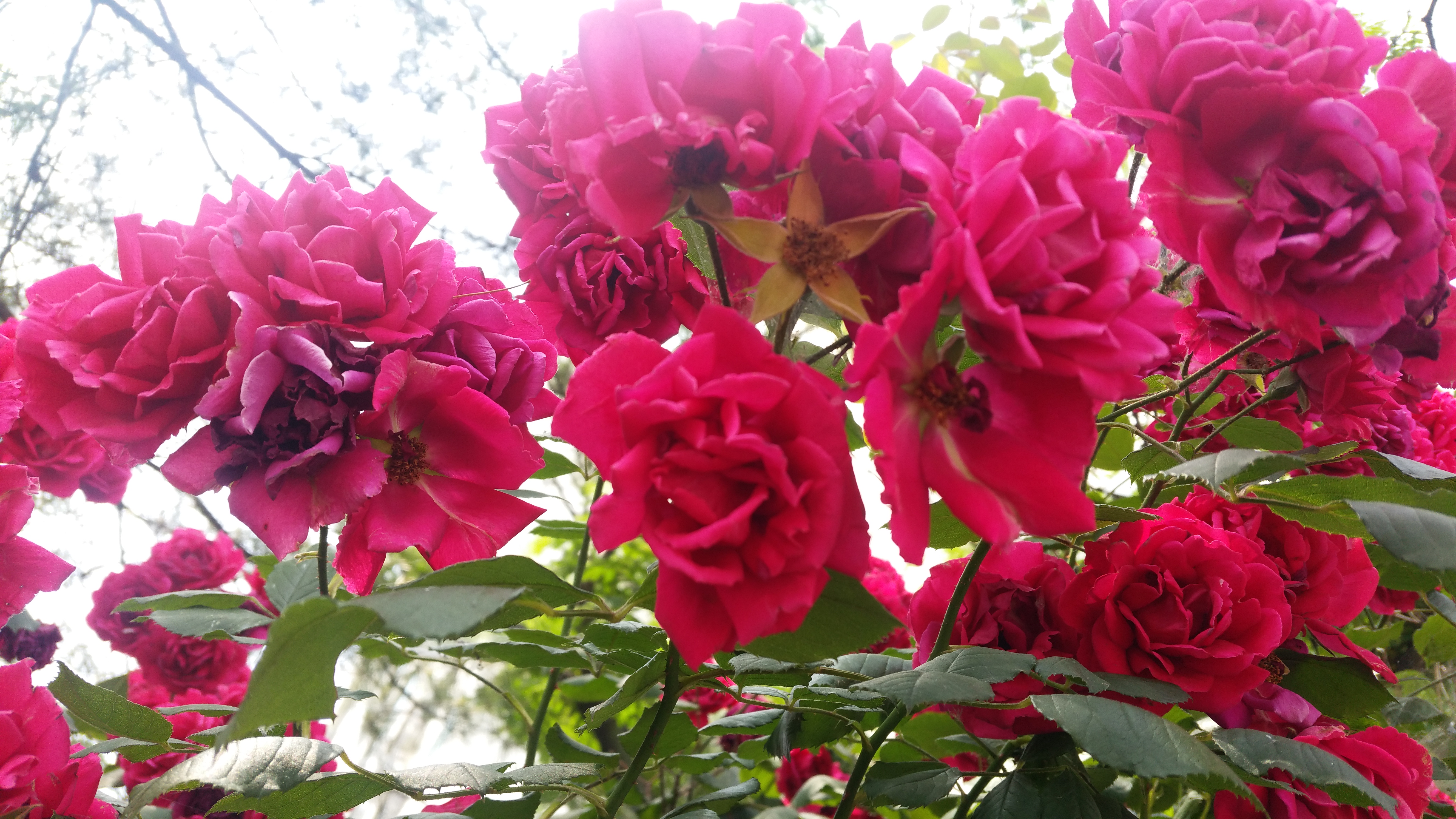 20180606_121013.jpg