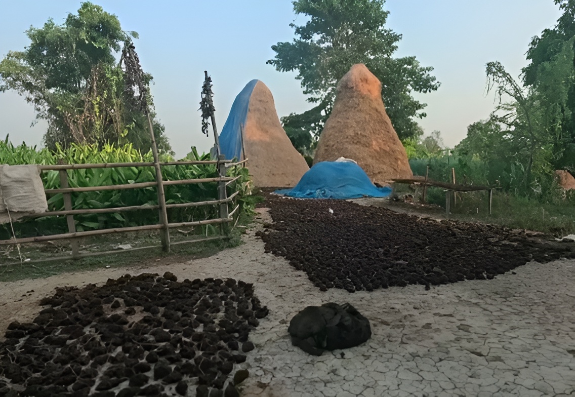 1000027601.jpg