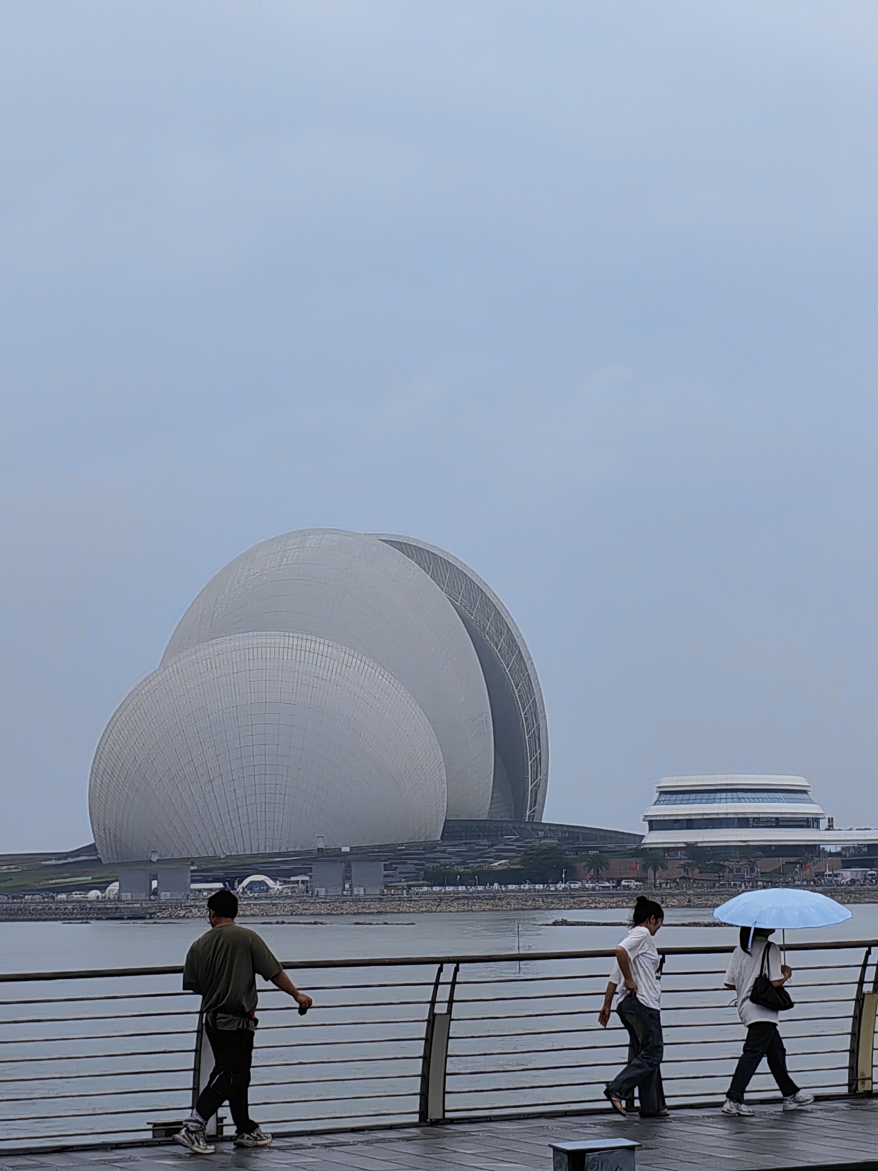 IMG_20250503_132619.jpg