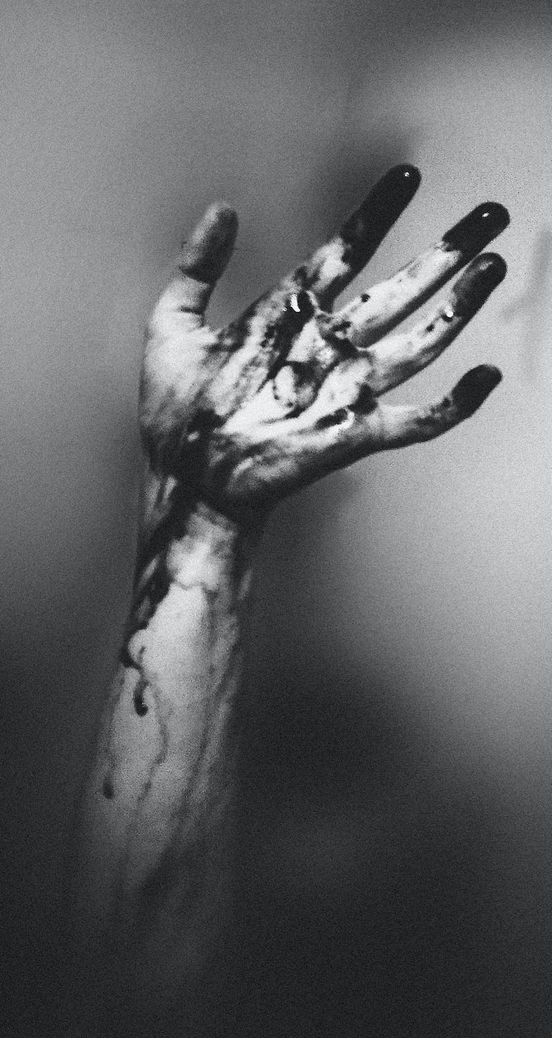 pexels-photo-3339126.jpeg