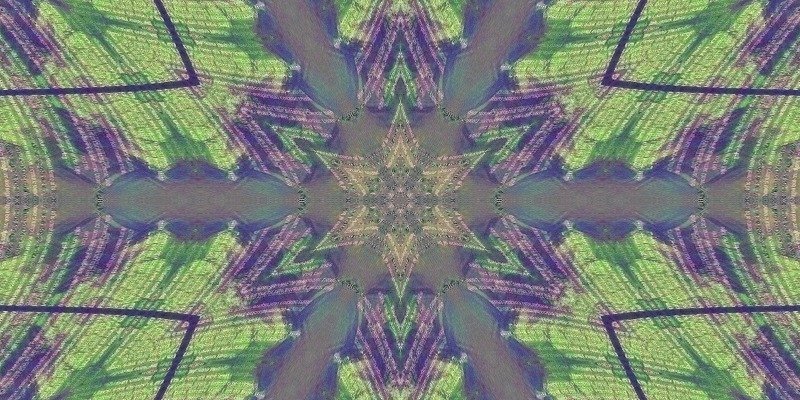 grass-psychic-hexa-star.jpg