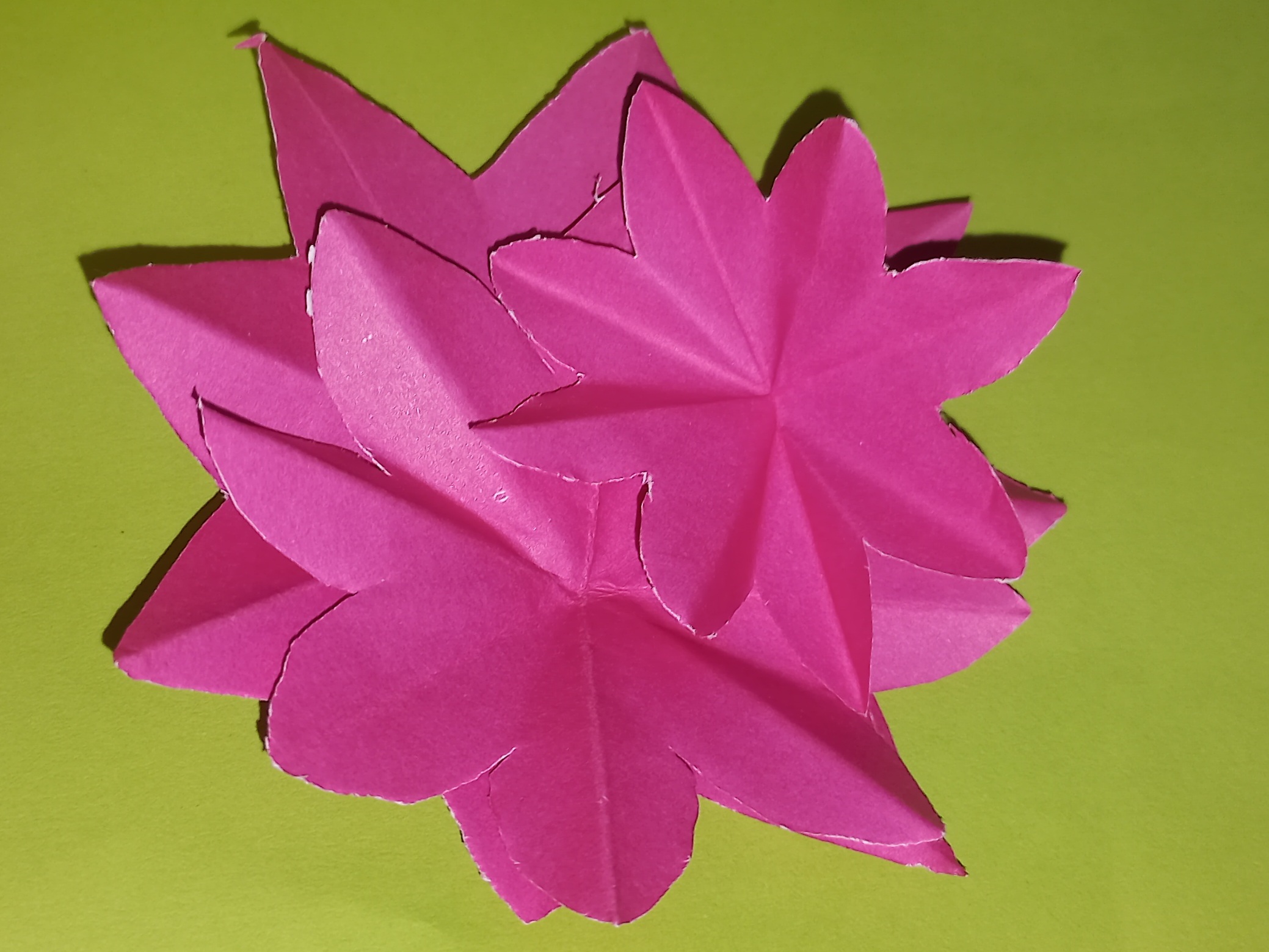20240414_152545.jpg