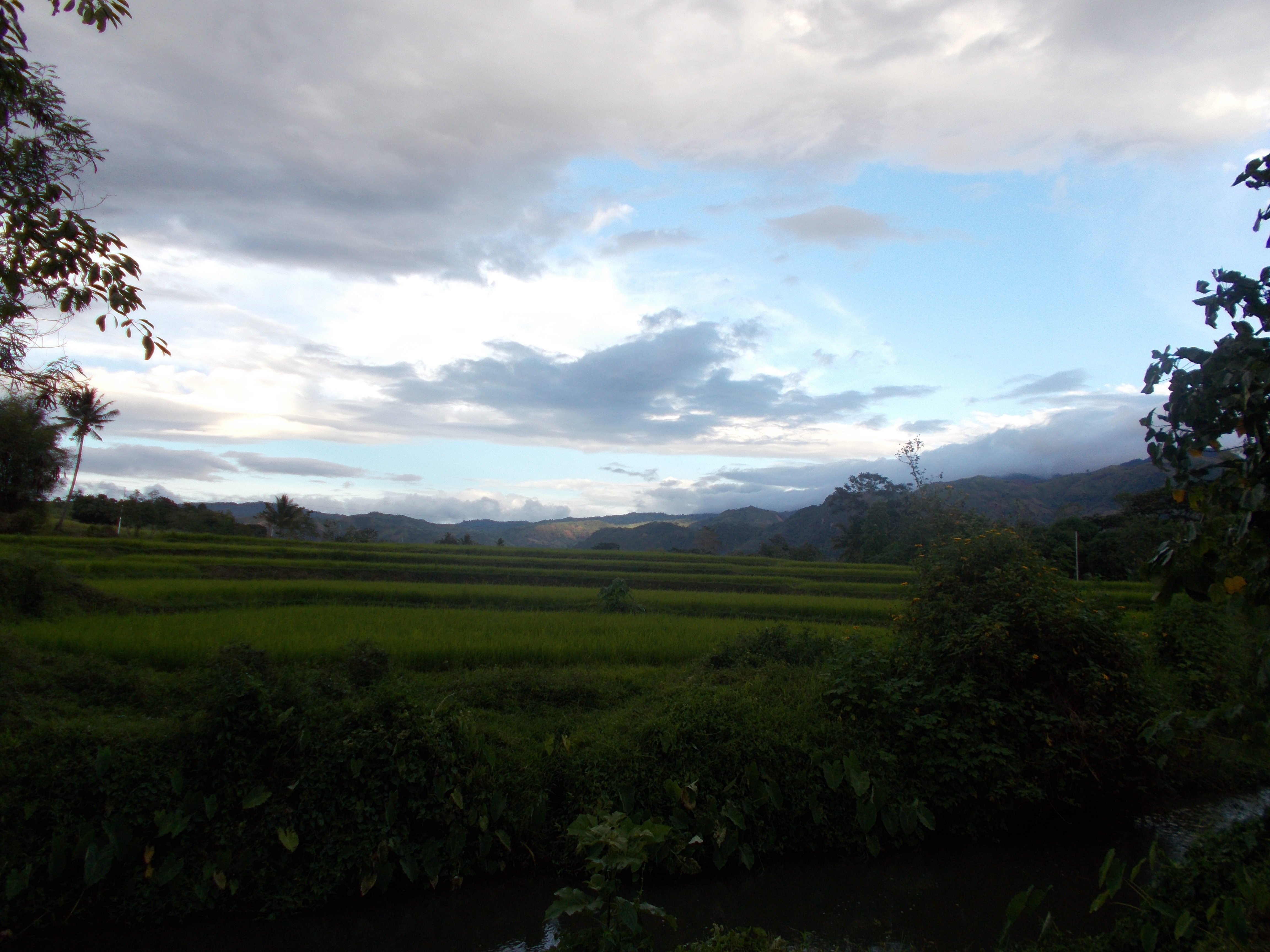 DSCN0326.JPG