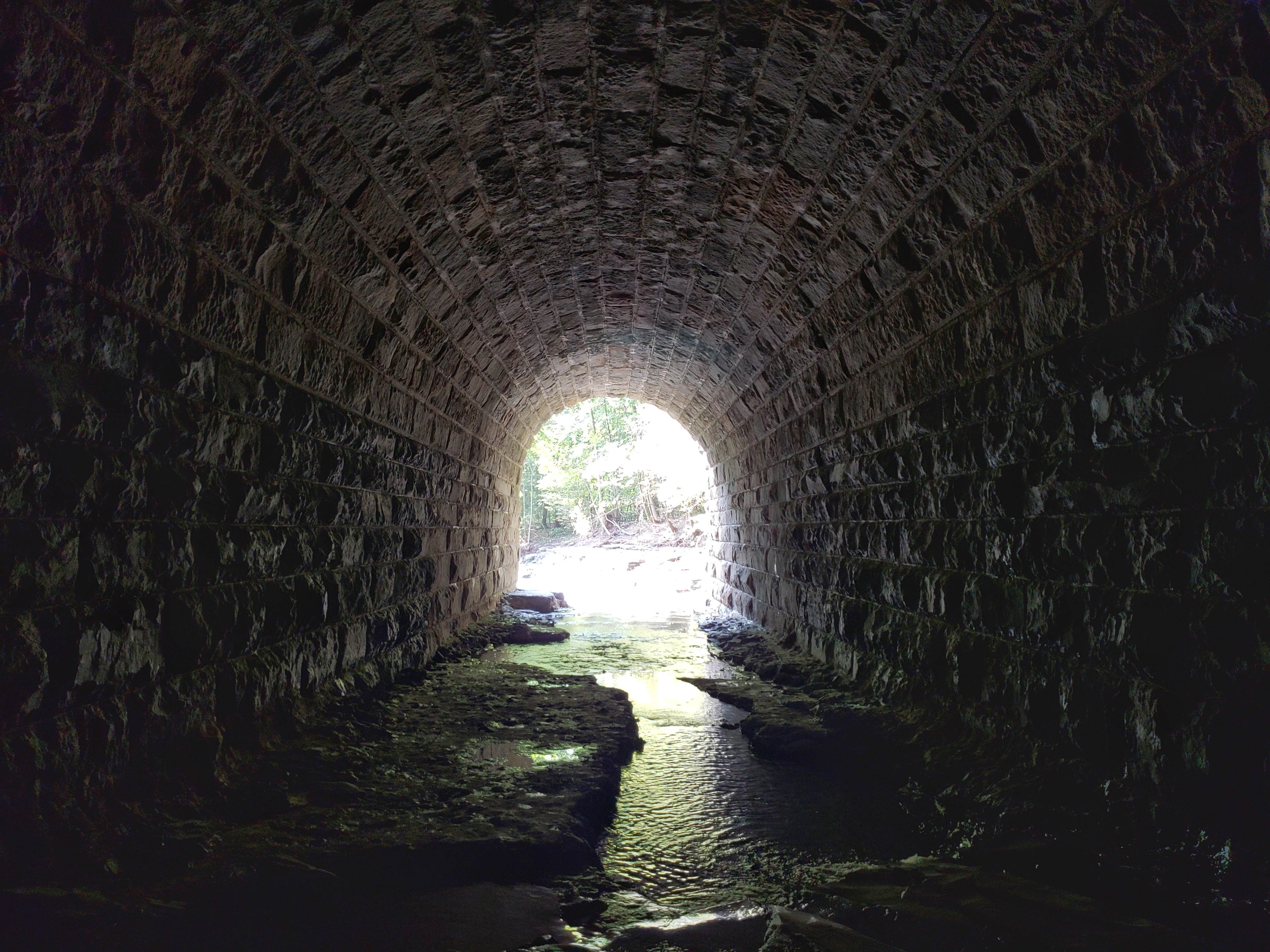 tunnel11.jpeg