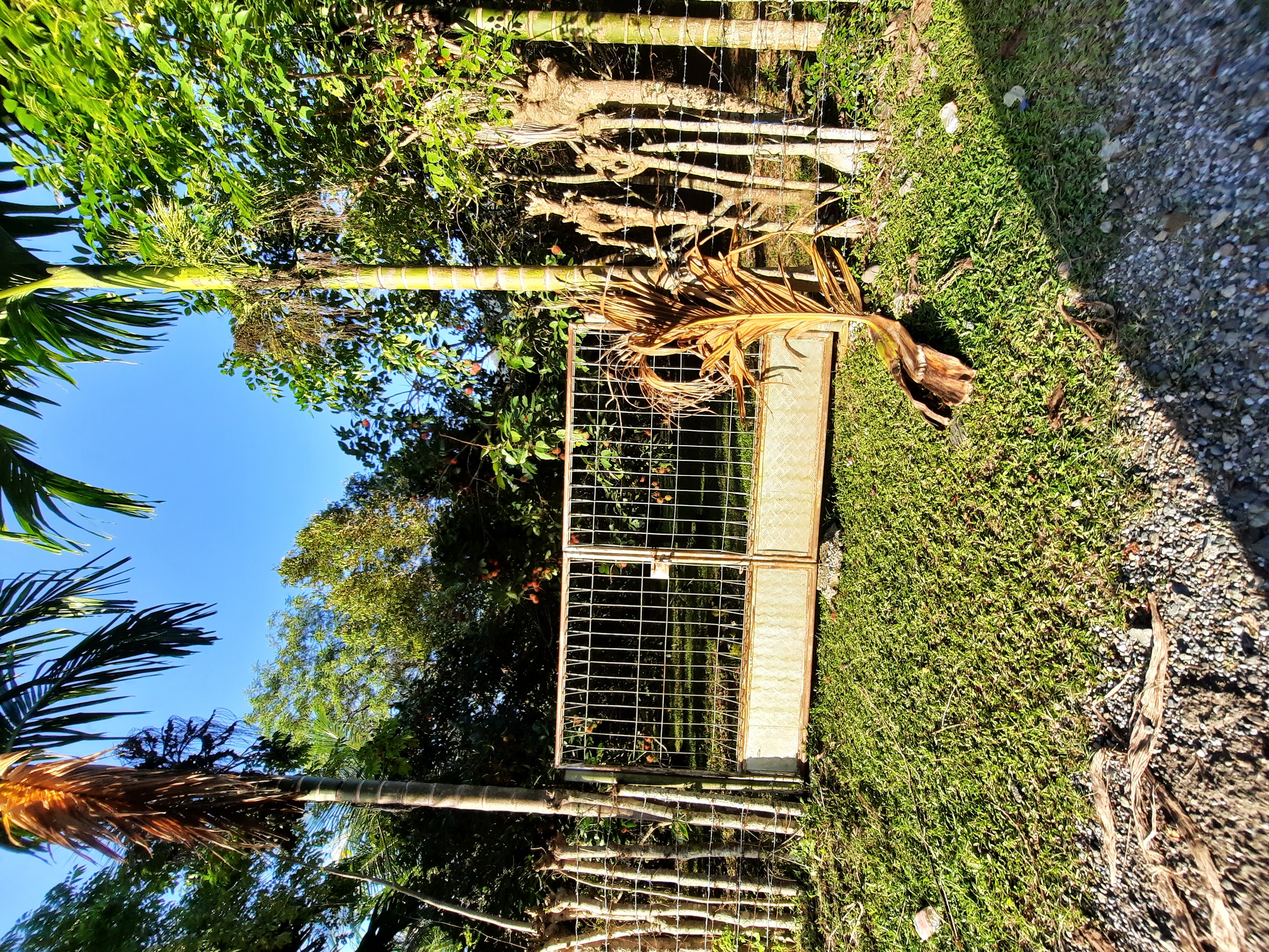 20210717_173904.jpg