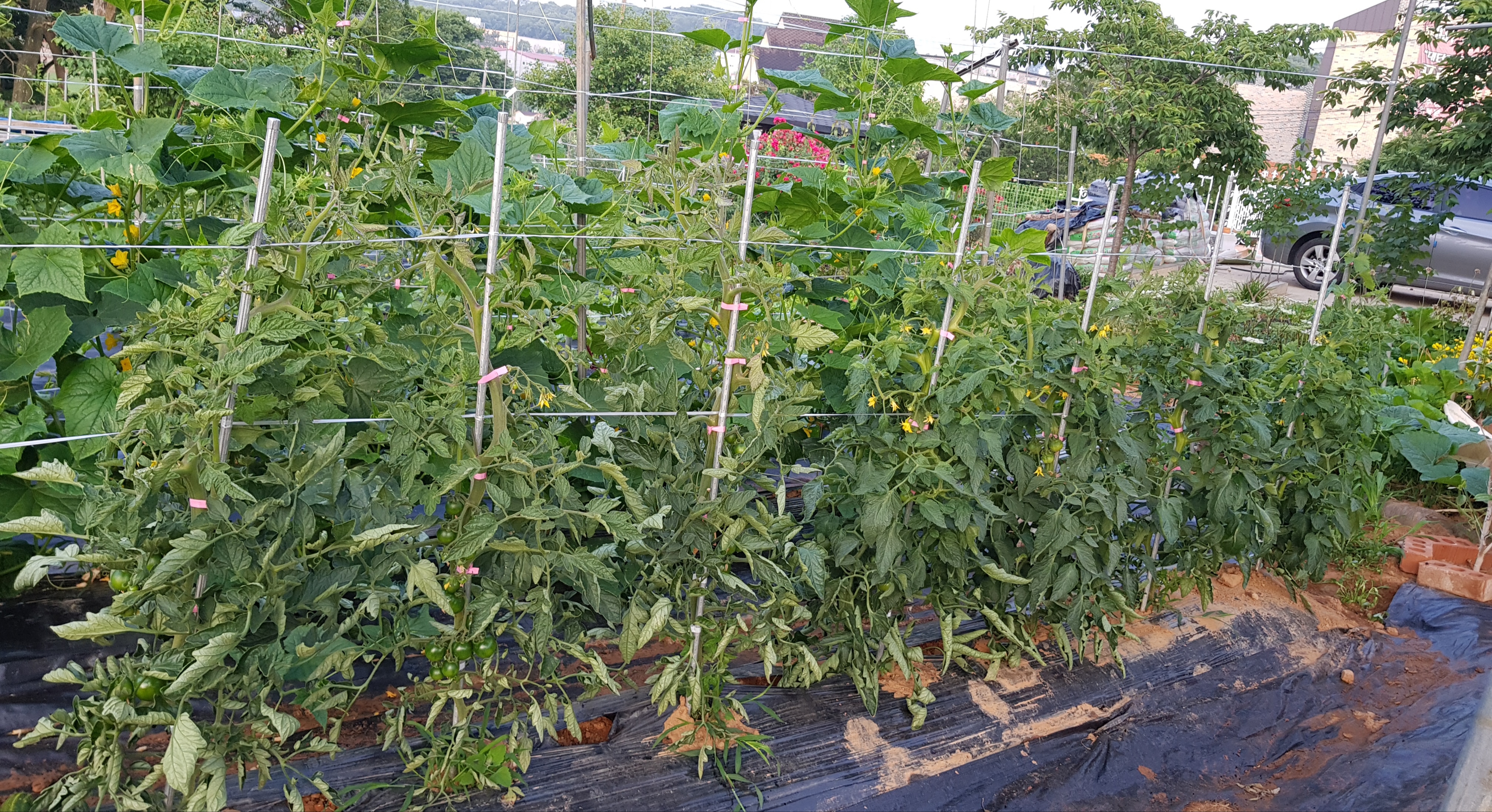 20190619_013741.jpg