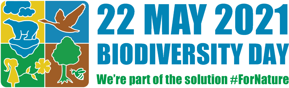 idb-2021-logo-en-web.png