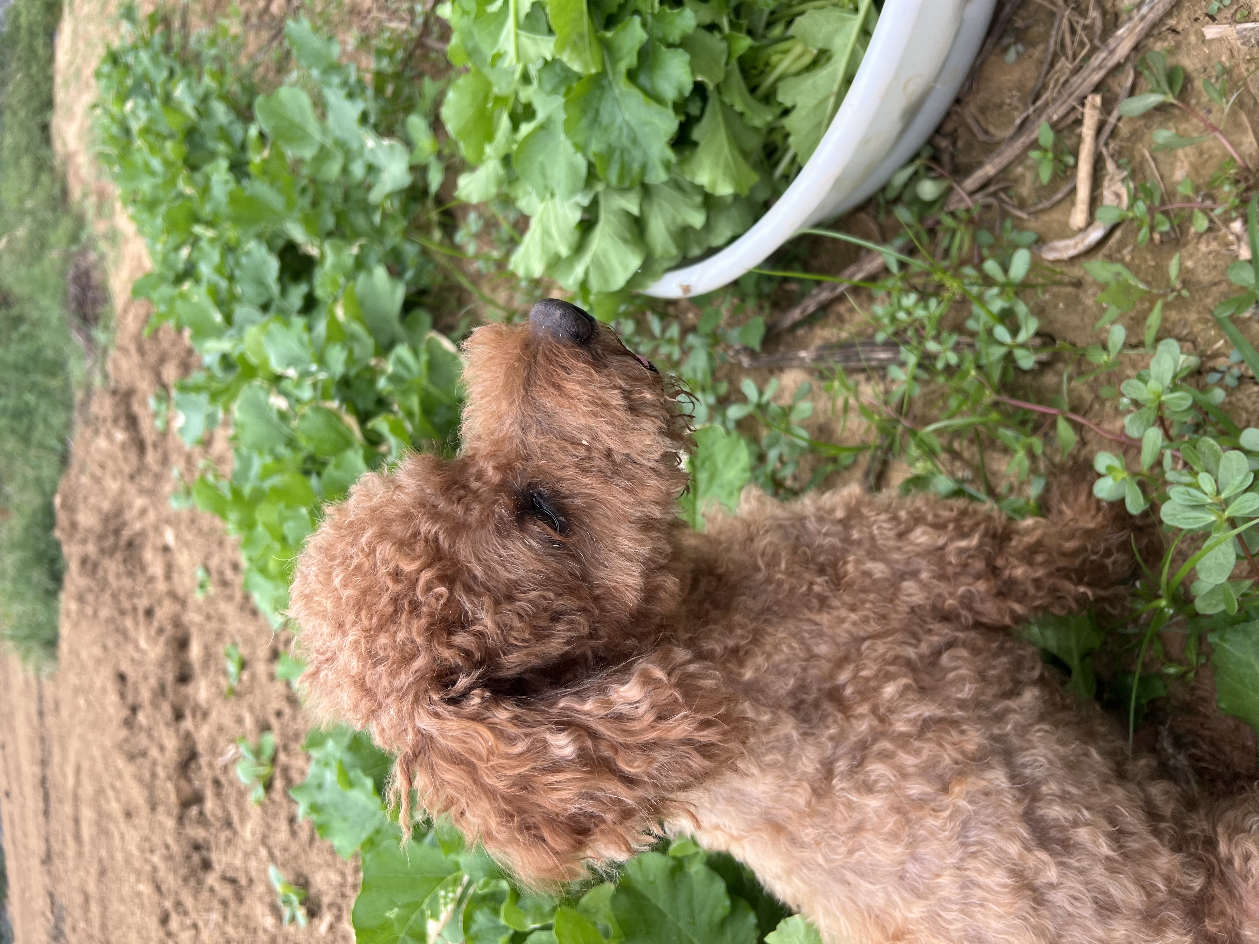 IMG_5311.jpeg