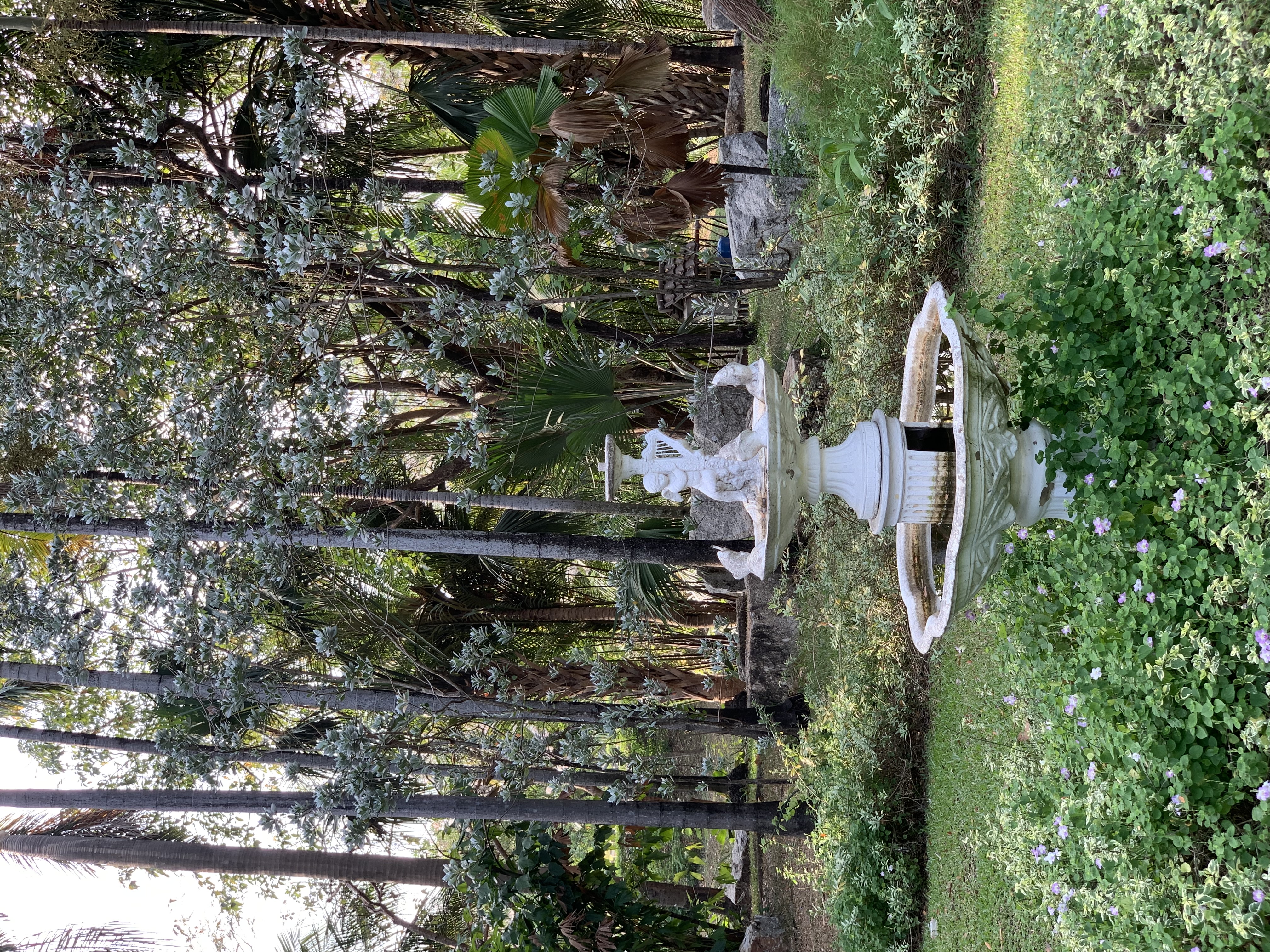 Stone Park9.jpg