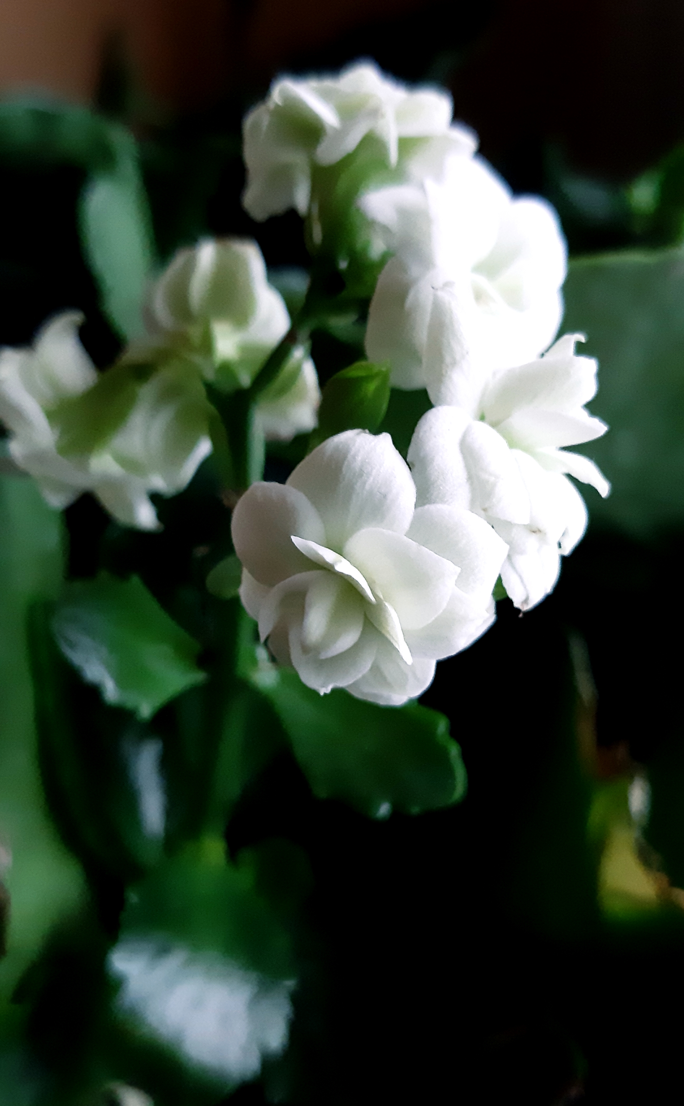 20191007_180816.jpg